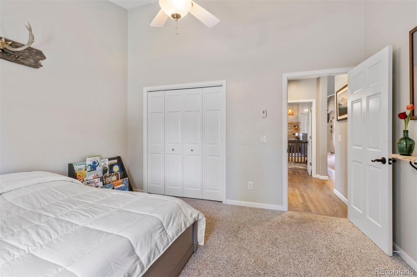 MLS Image #23 for 904  copper drive,leadville, Colorado