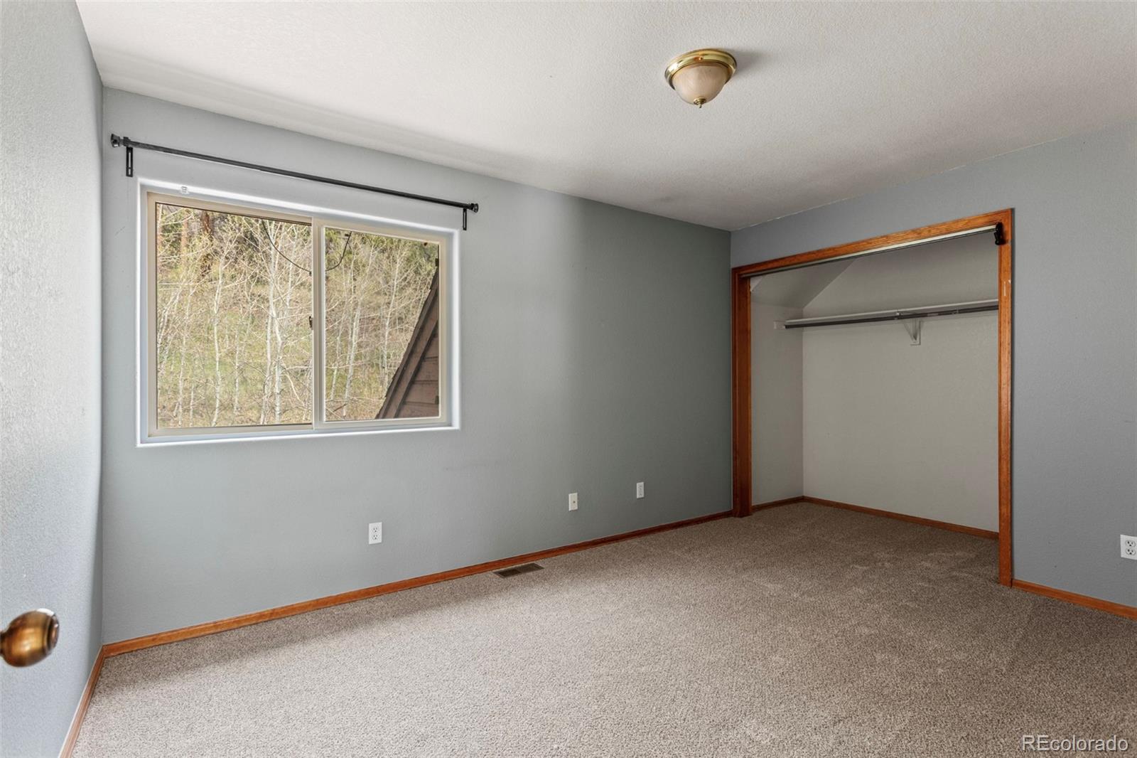 MLS Image #19 for 12183  arnett ranch road,littleton, Colorado