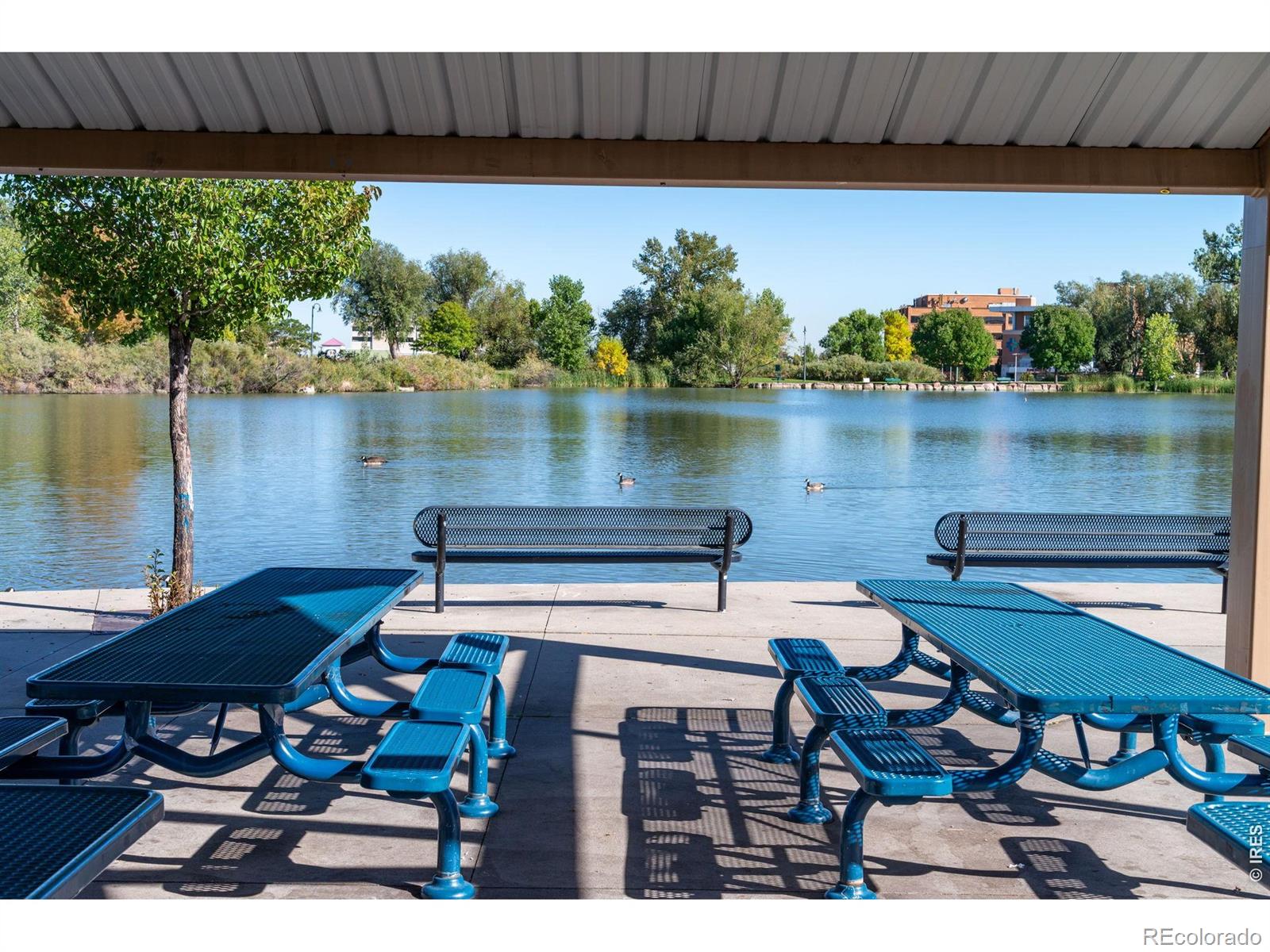 MLS Image #19 for 11590  community center drive,northglenn, Colorado