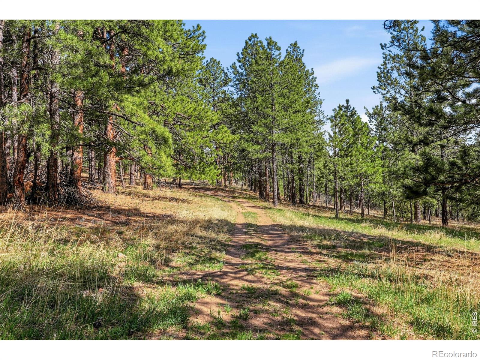 MLS Image #38 for 560  quillan gulch road,loveland, Colorado