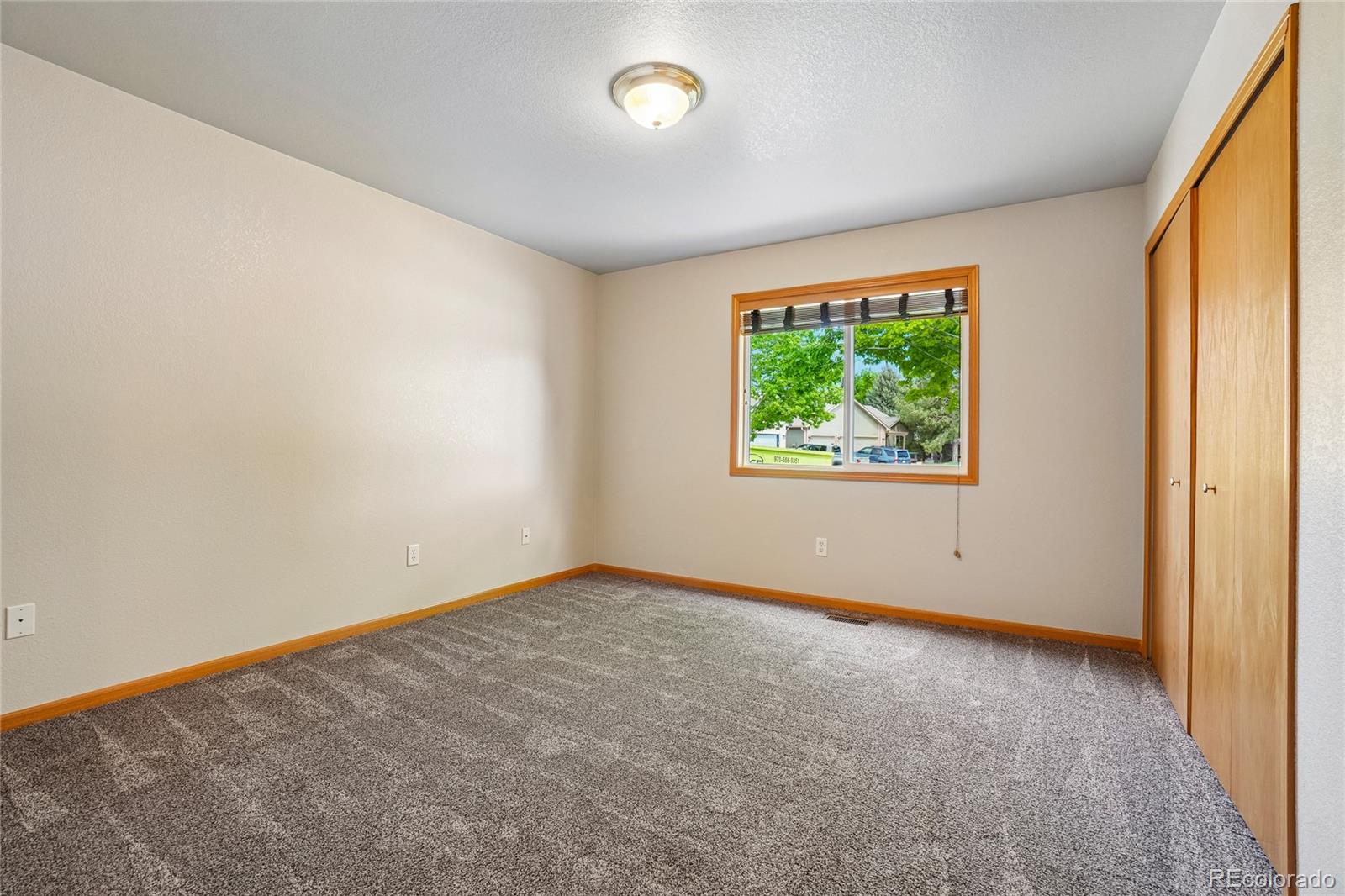 MLS Image #16 for 3226  ivy court,loveland, Colorado