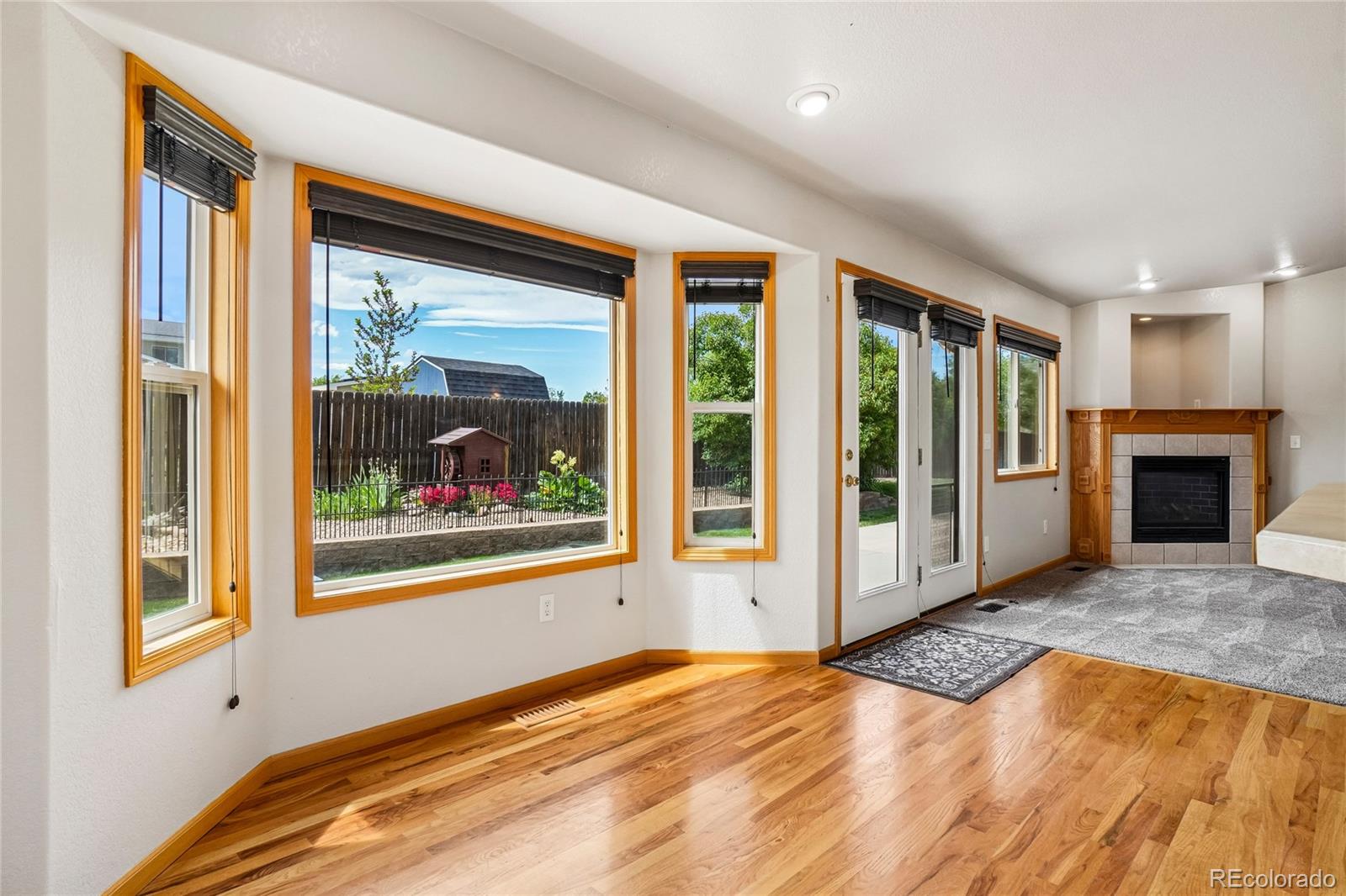 MLS Image #5 for 3226  ivy court,loveland, Colorado
