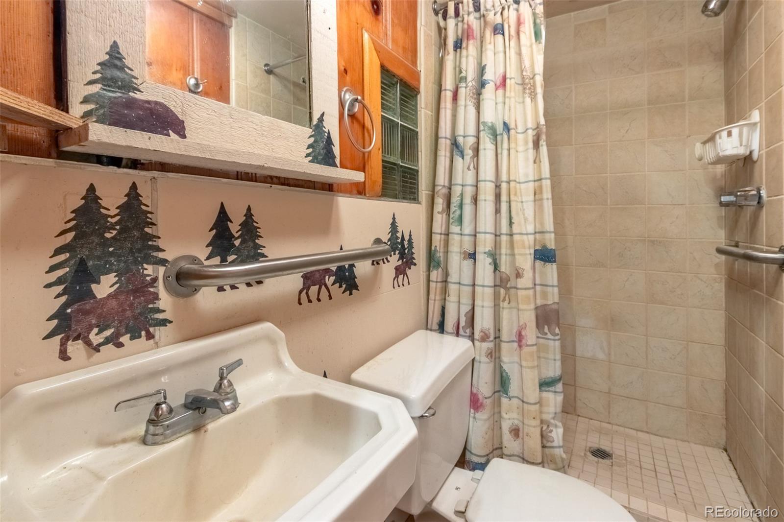 MLS Image #11 for 105  lake avenue ,grand lake, Colorado