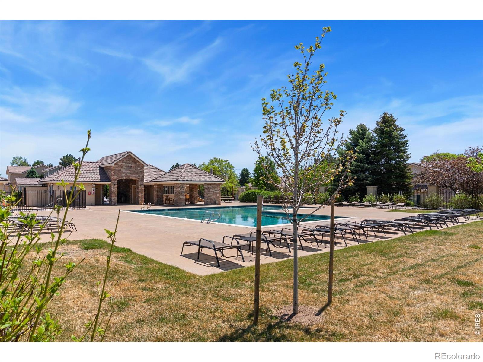 MLS Image #11 for 5115  pasadena way,broomfield, Colorado