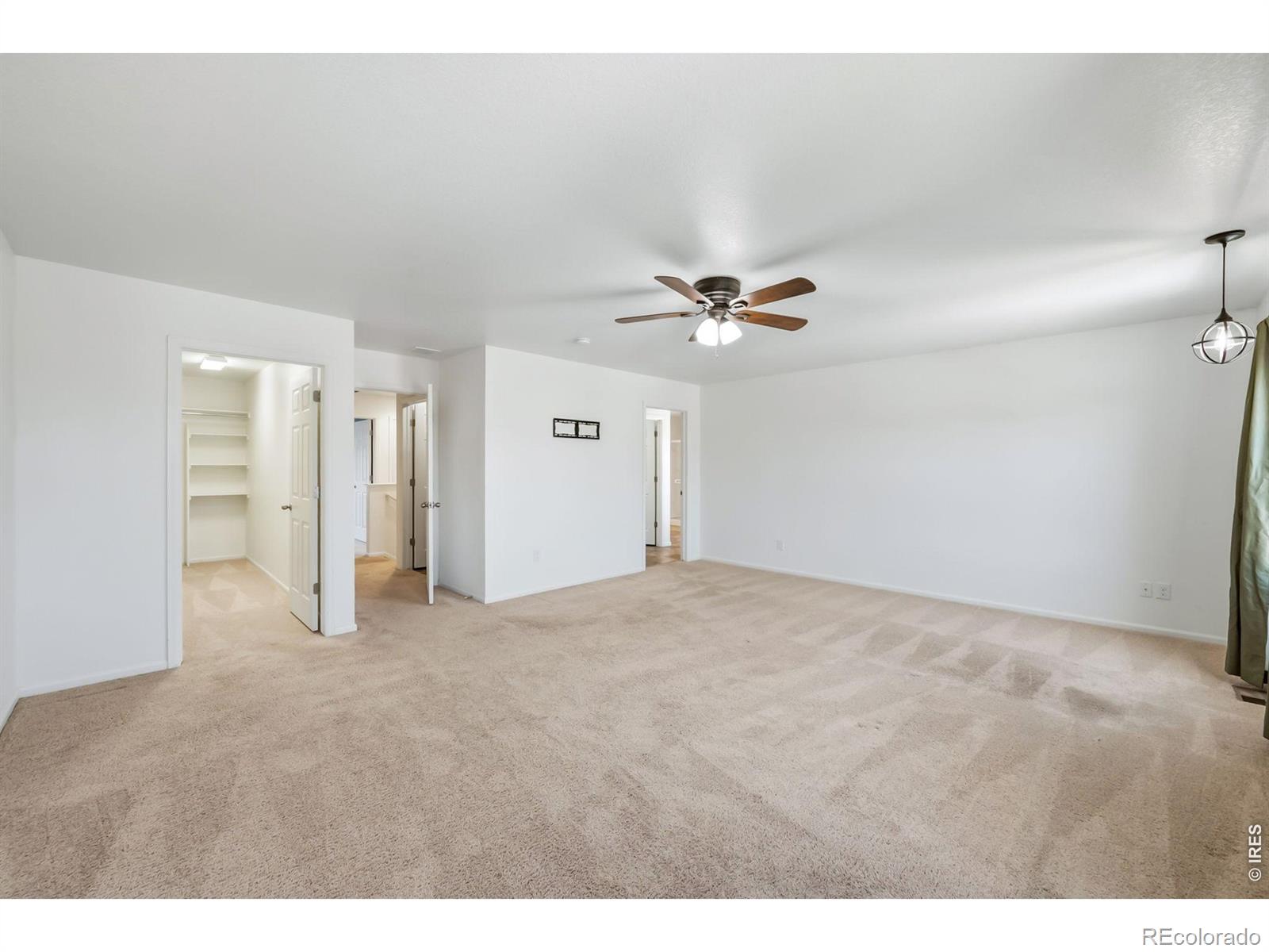 MLS Image #12 for 3611  daylily street,wellington, Colorado