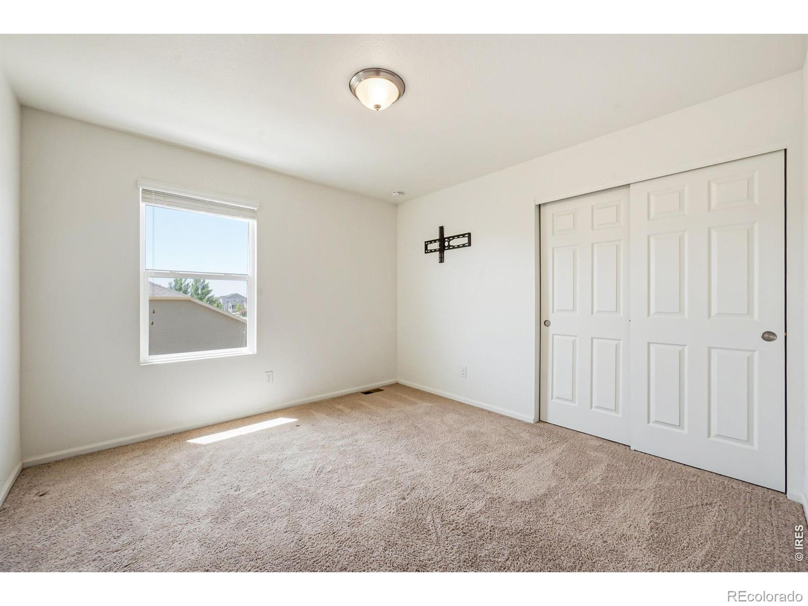 MLS Image #18 for 3611  daylily street,wellington, Colorado