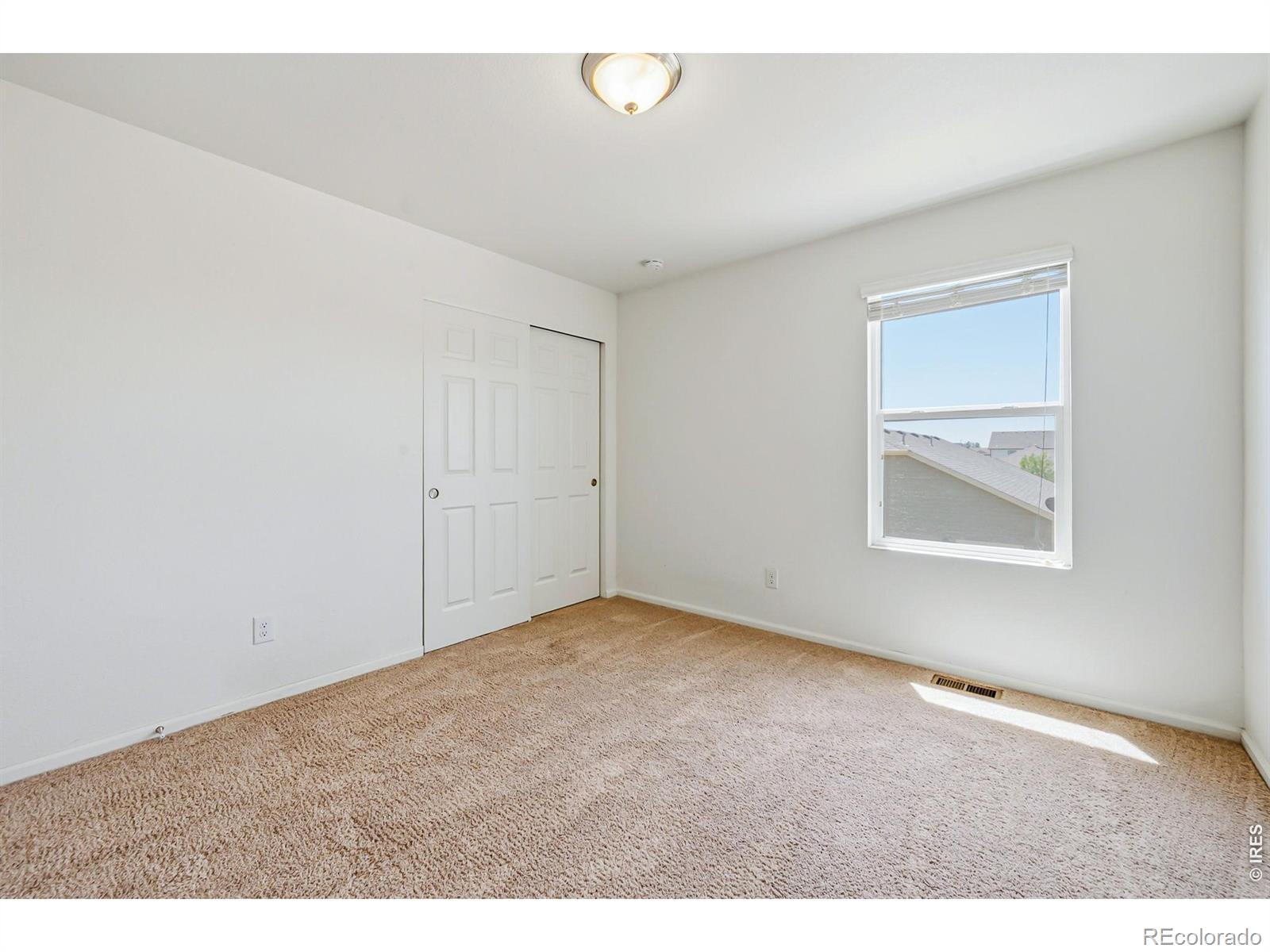 MLS Image #19 for 3611  daylily street,wellington, Colorado
