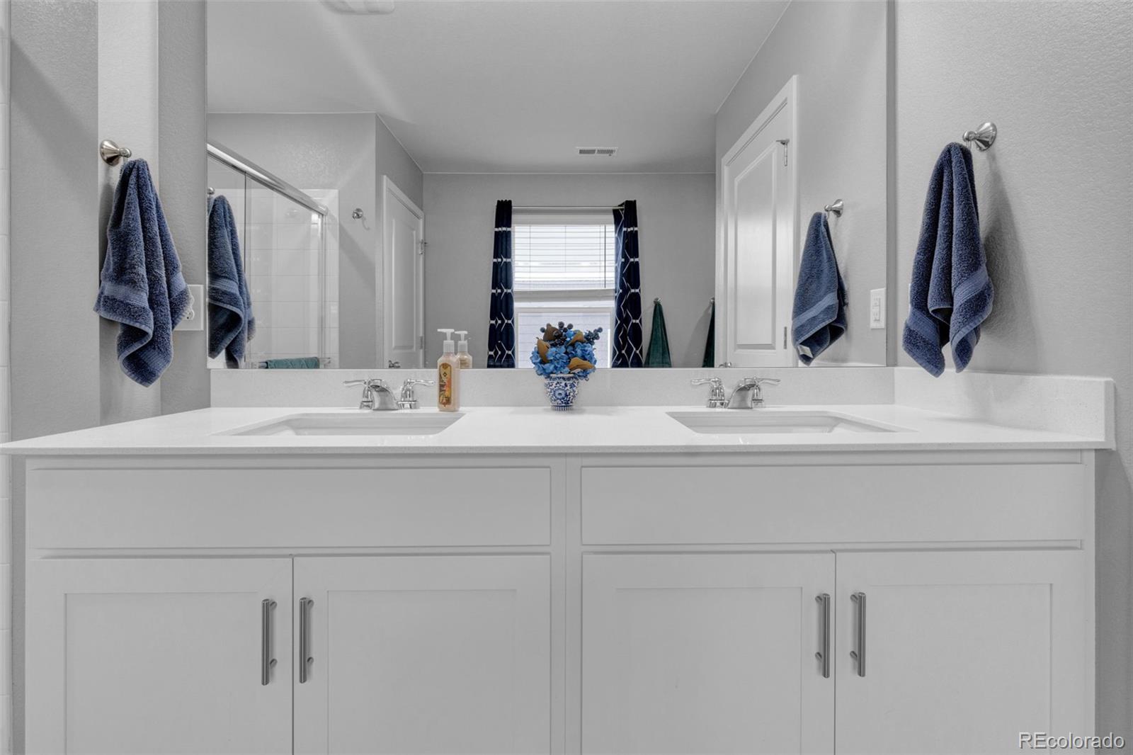 MLS Image #22 for 14630  guernsey drive,mead, Colorado