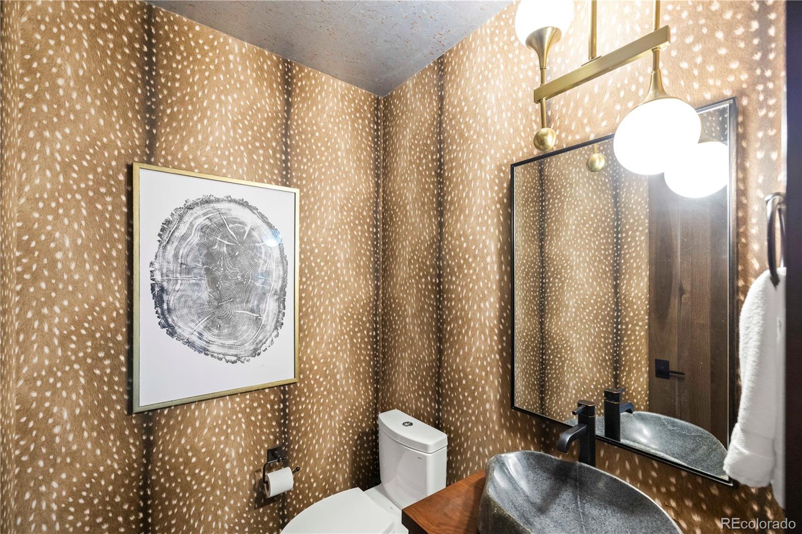MLS Image #27 for 814  maryland creek road,silverthorne, Colorado