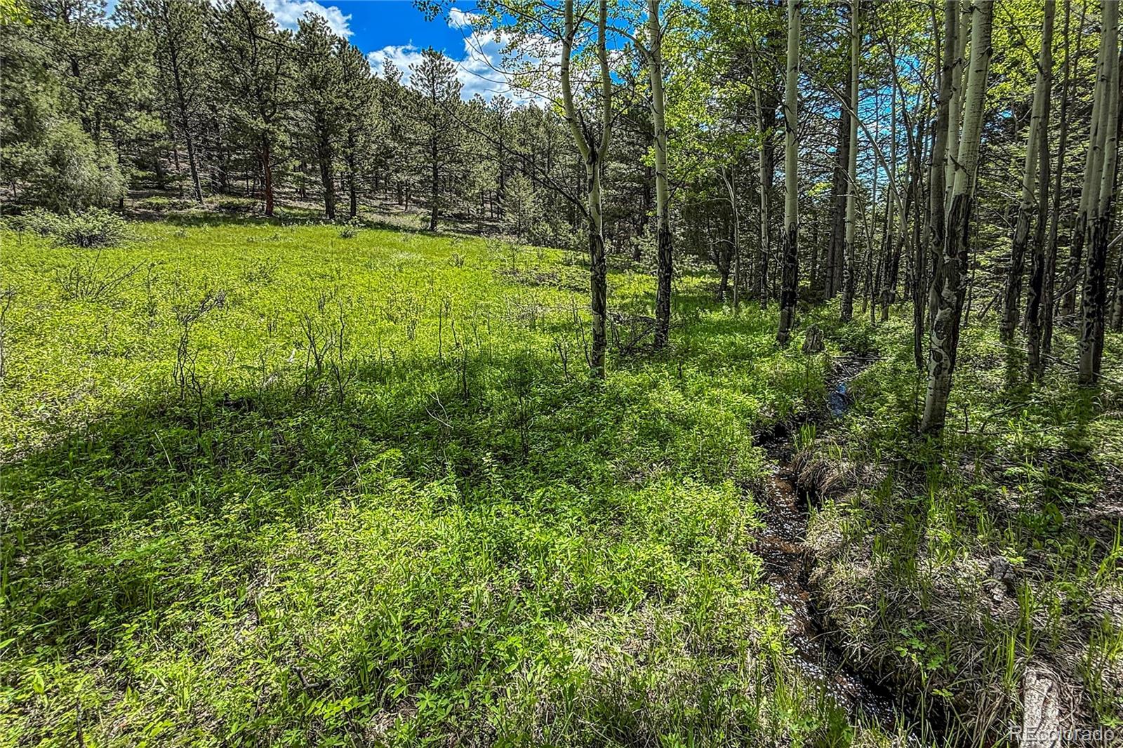MLS Image #14 for 18673  state highway 7 ,lyons, Colorado