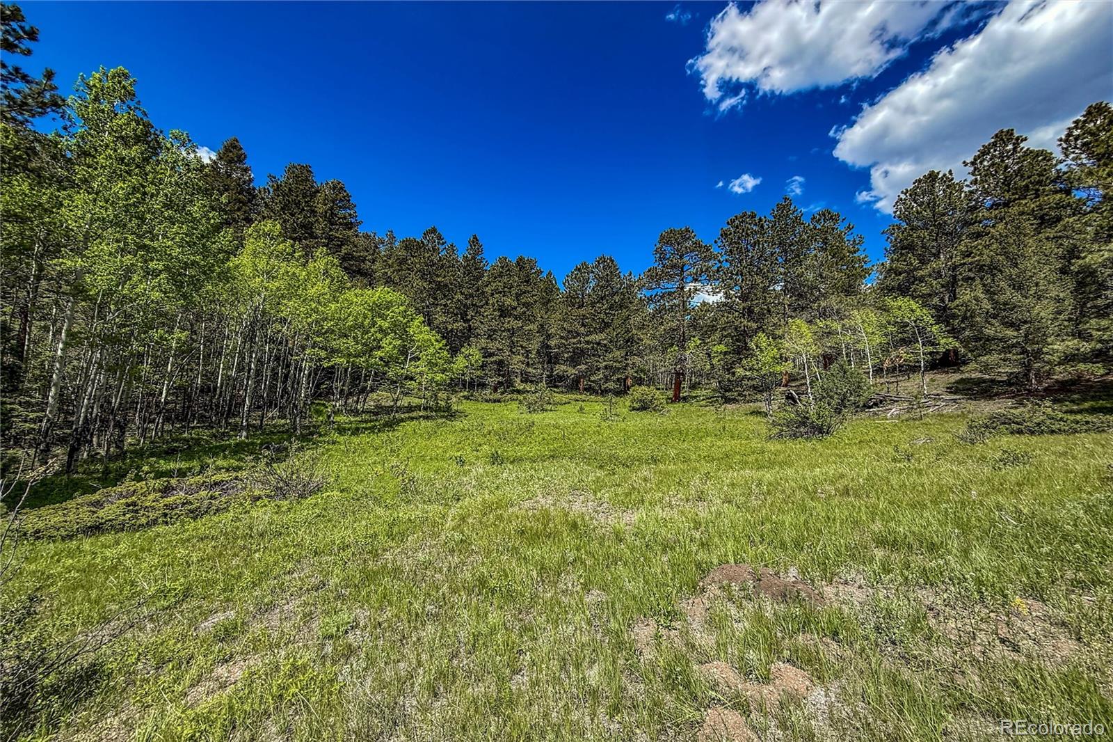 MLS Image #17 for 18673  state highway 7 ,lyons, Colorado