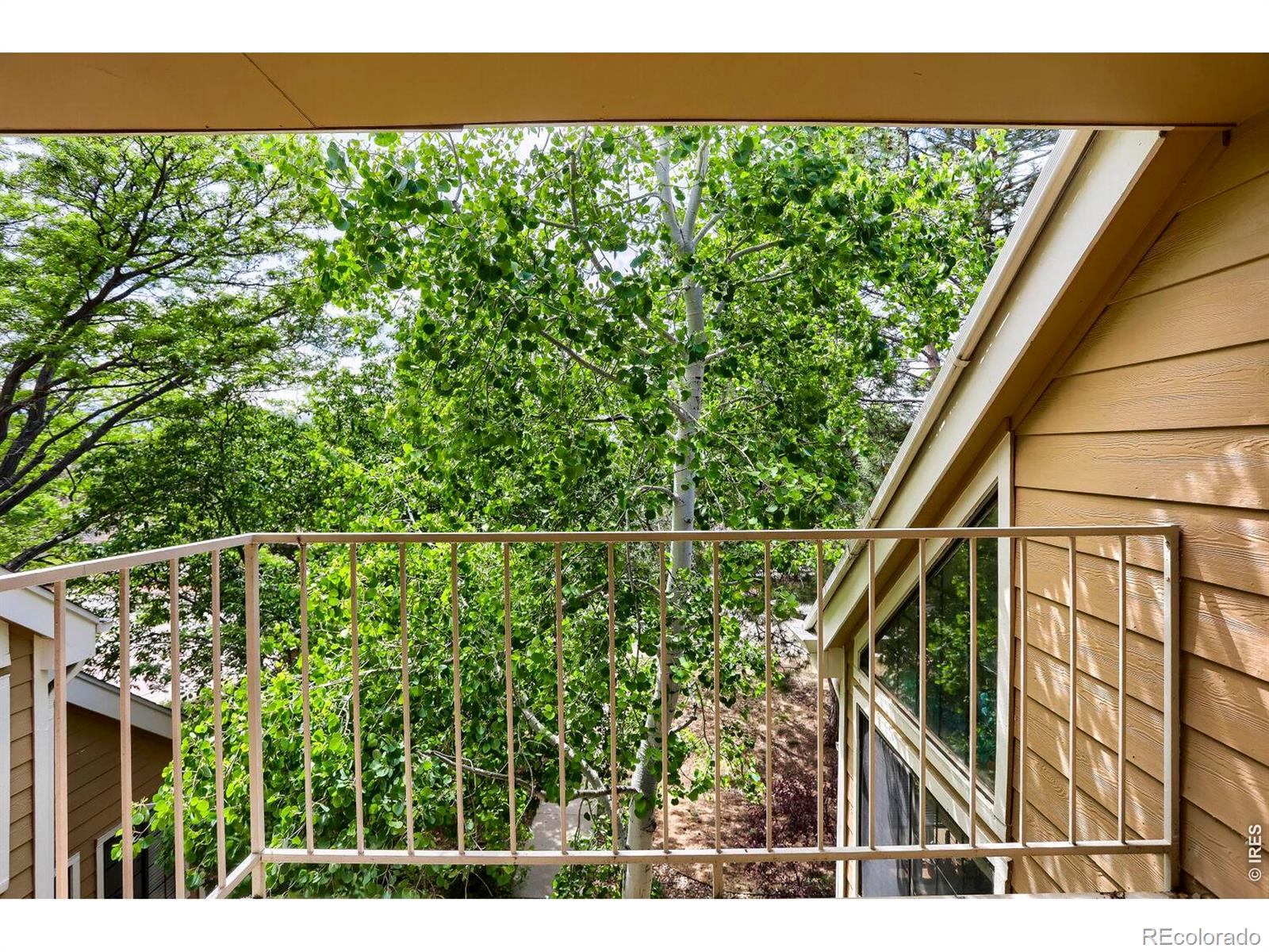 MLS Image #21 for 5924  gunbarrel avenue,boulder, Colorado