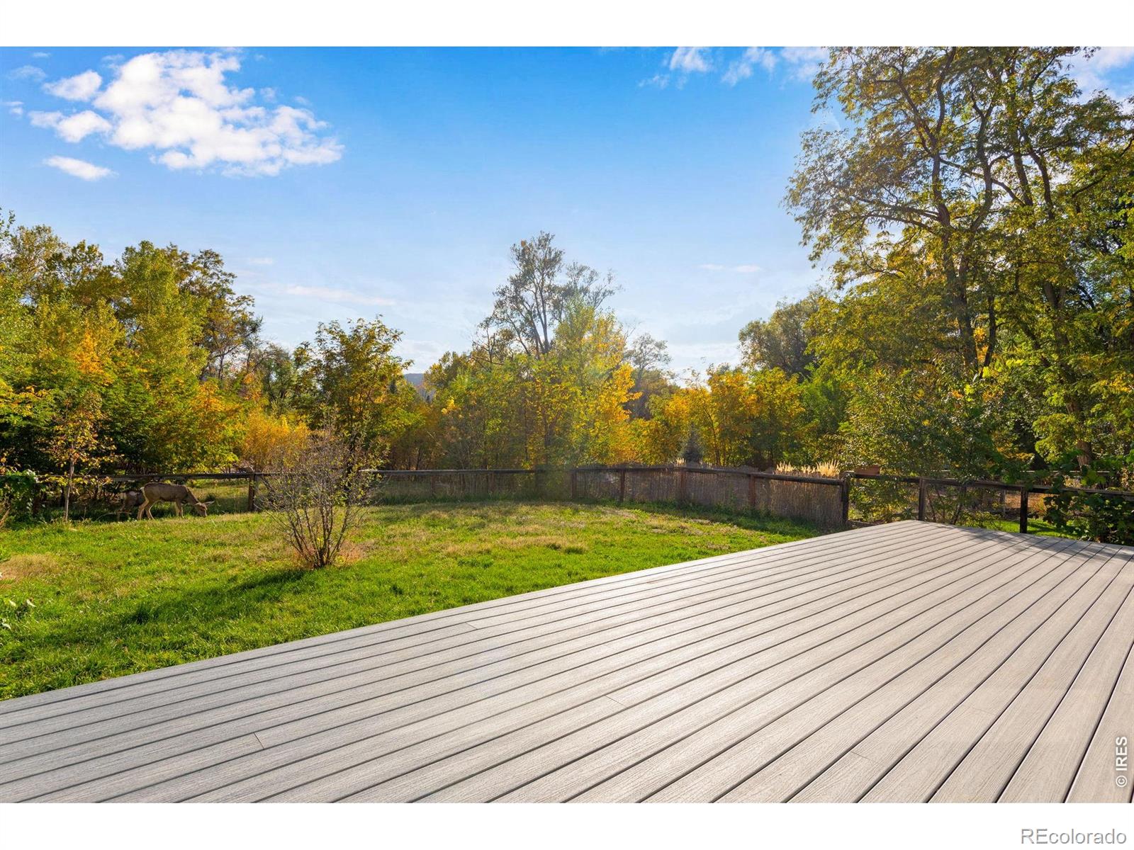 MLS Image #16 for 217  park street,lyons, Colorado