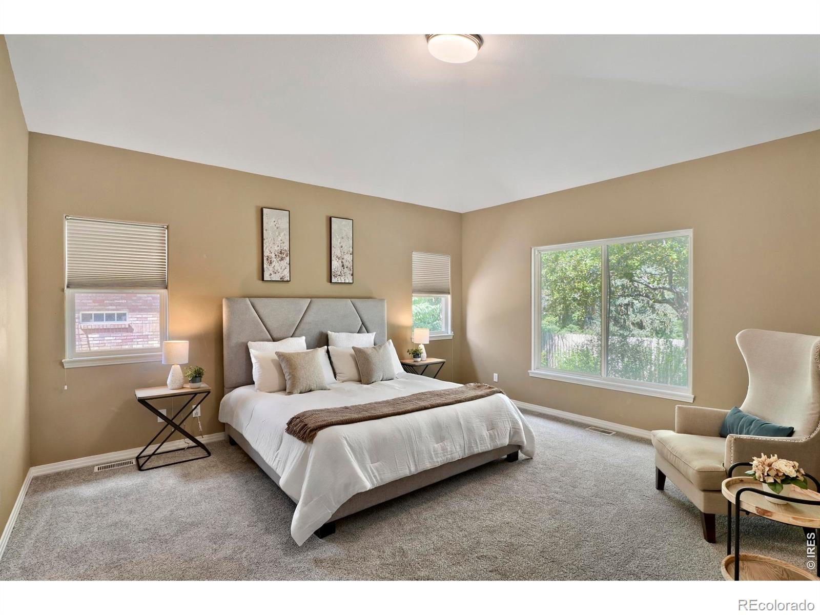 MLS Image #16 for 1013  boxelder circle,longmont, Colorado