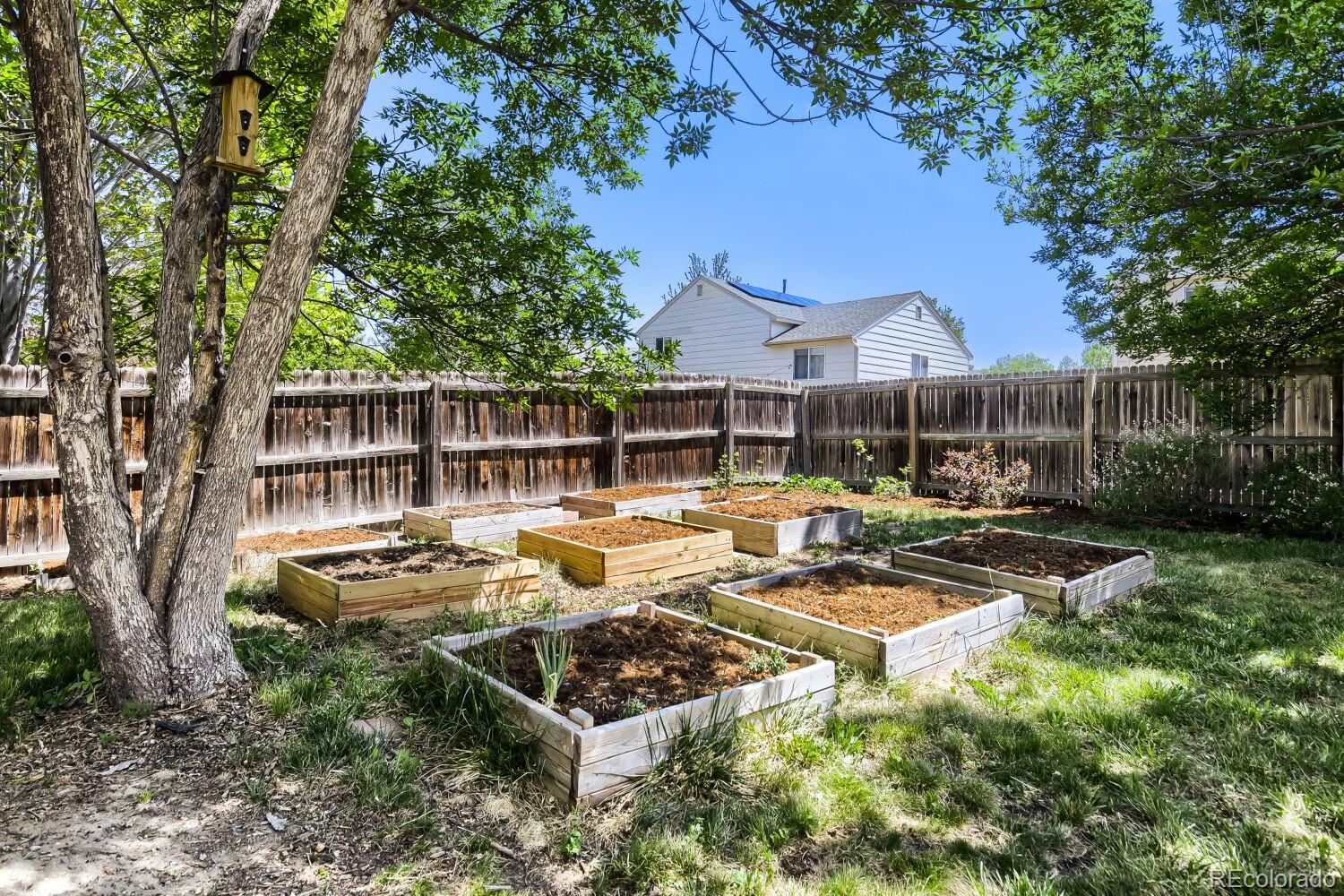 MLS Image #24 for 1633  deerwood drive,longmont, Colorado