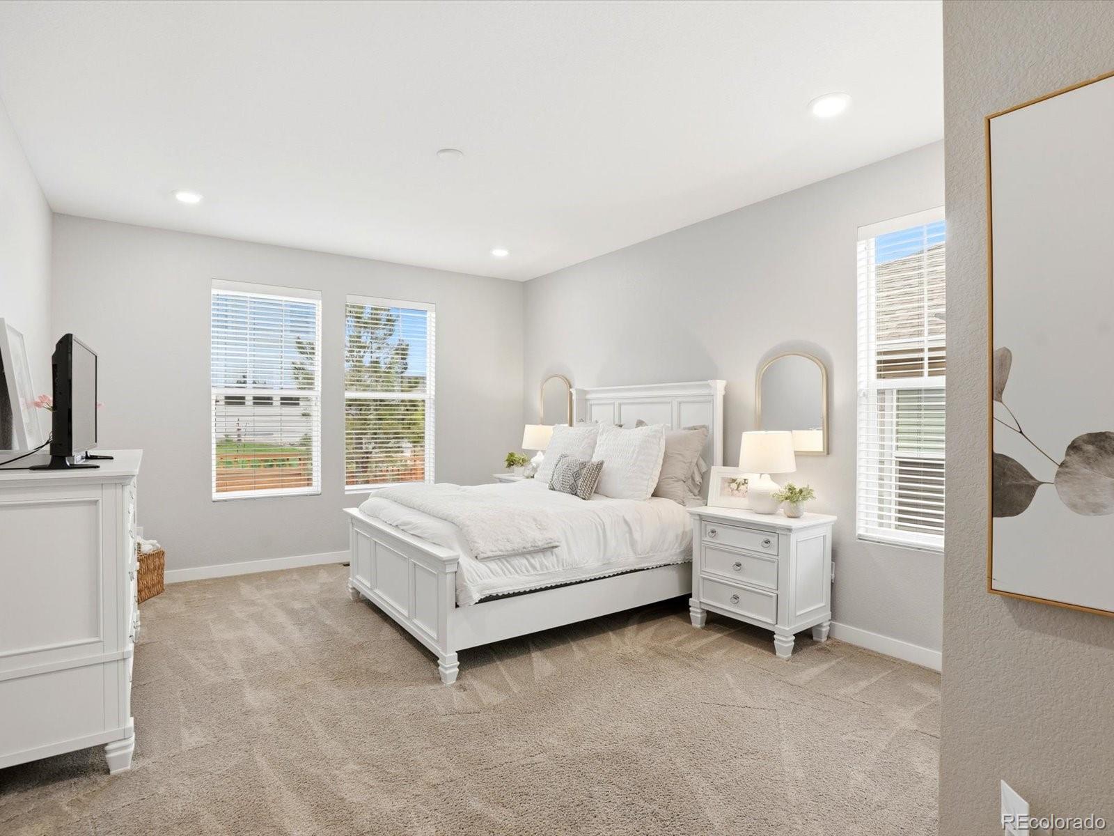 MLS Image #13 for 4175  forever circle,castle rock, Colorado