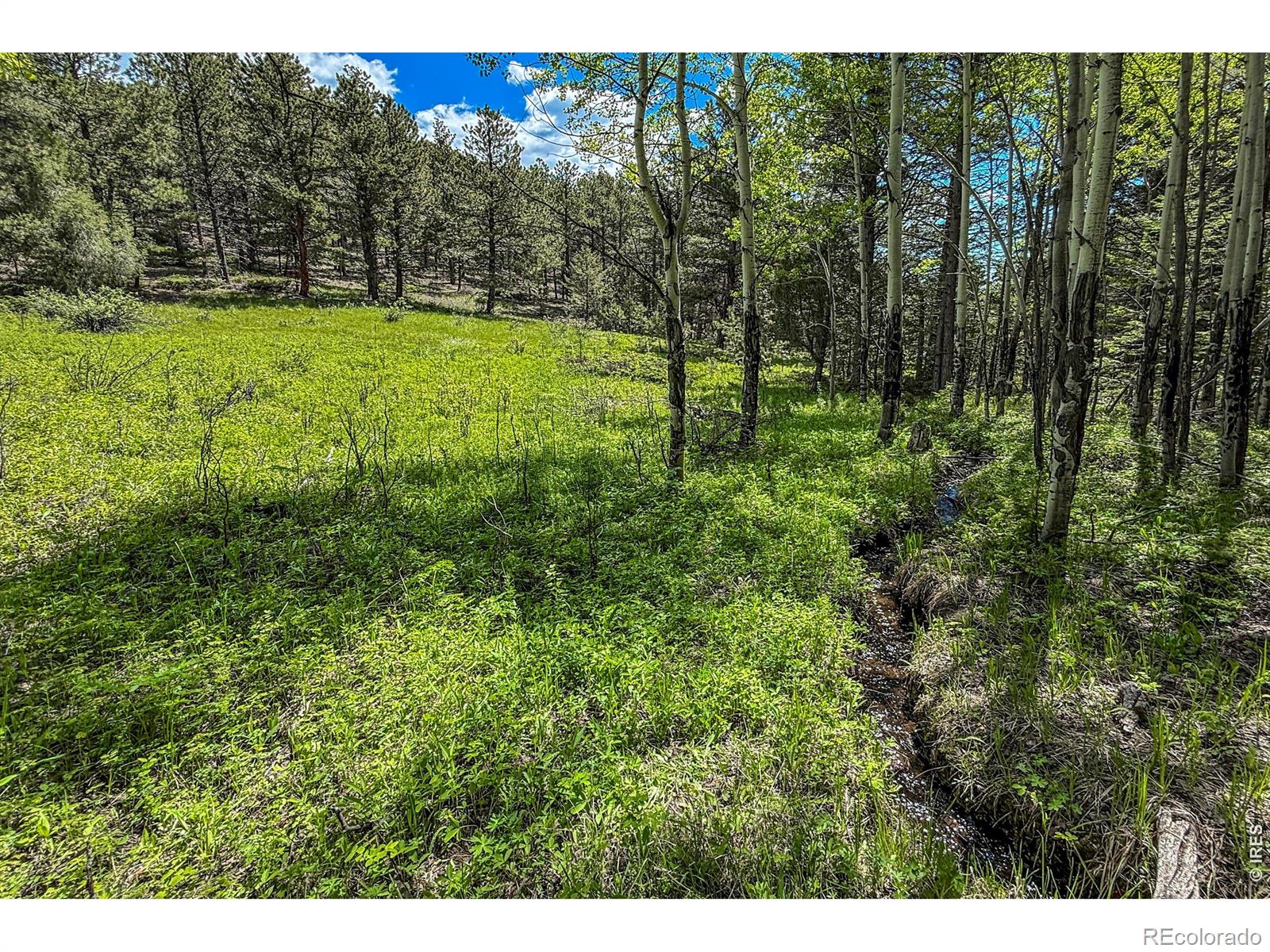 MLS Image #14 for 18673  highway 7 ,lyons, Colorado