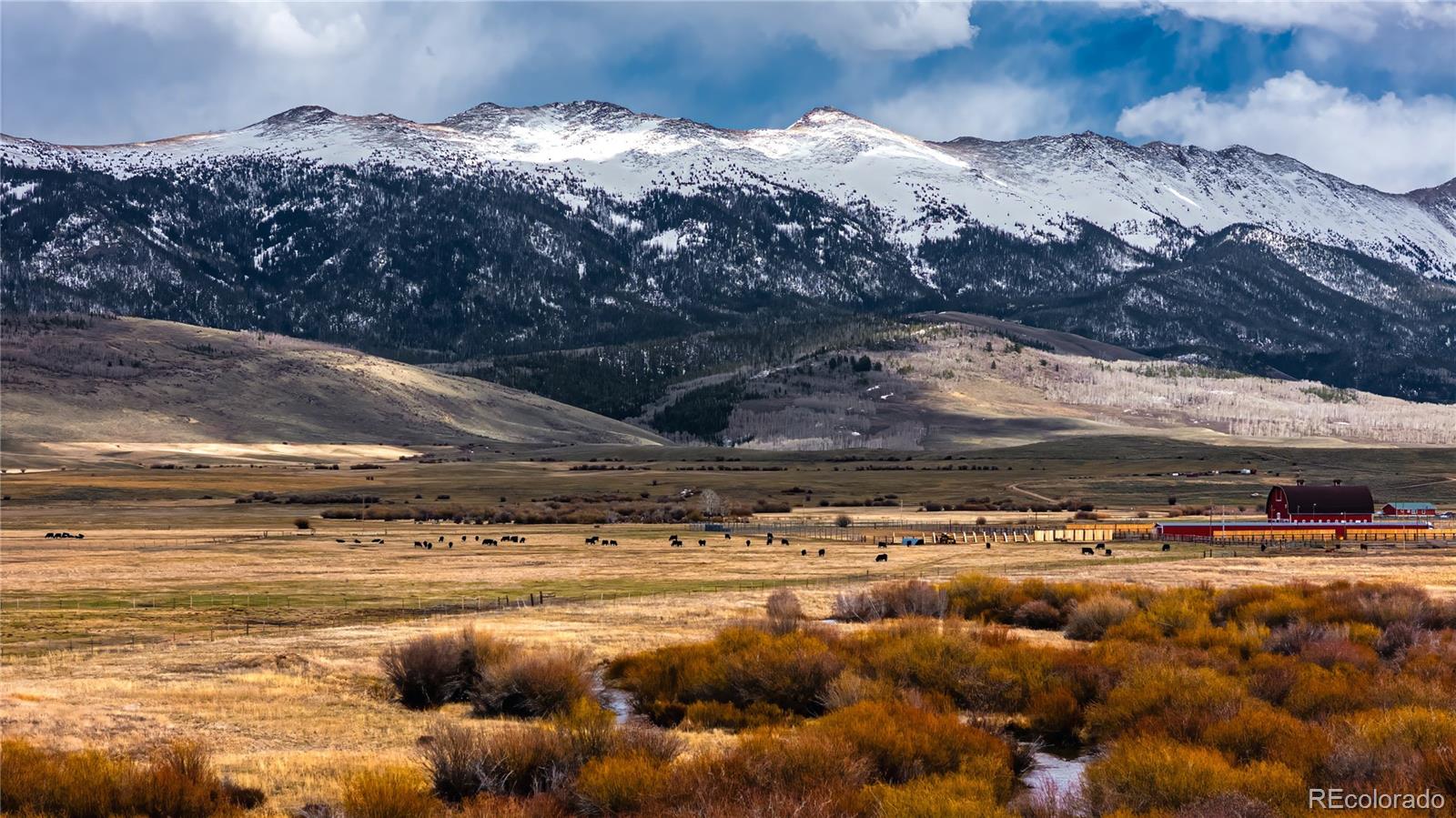 MLS Image #7 for    ,, Colorado
