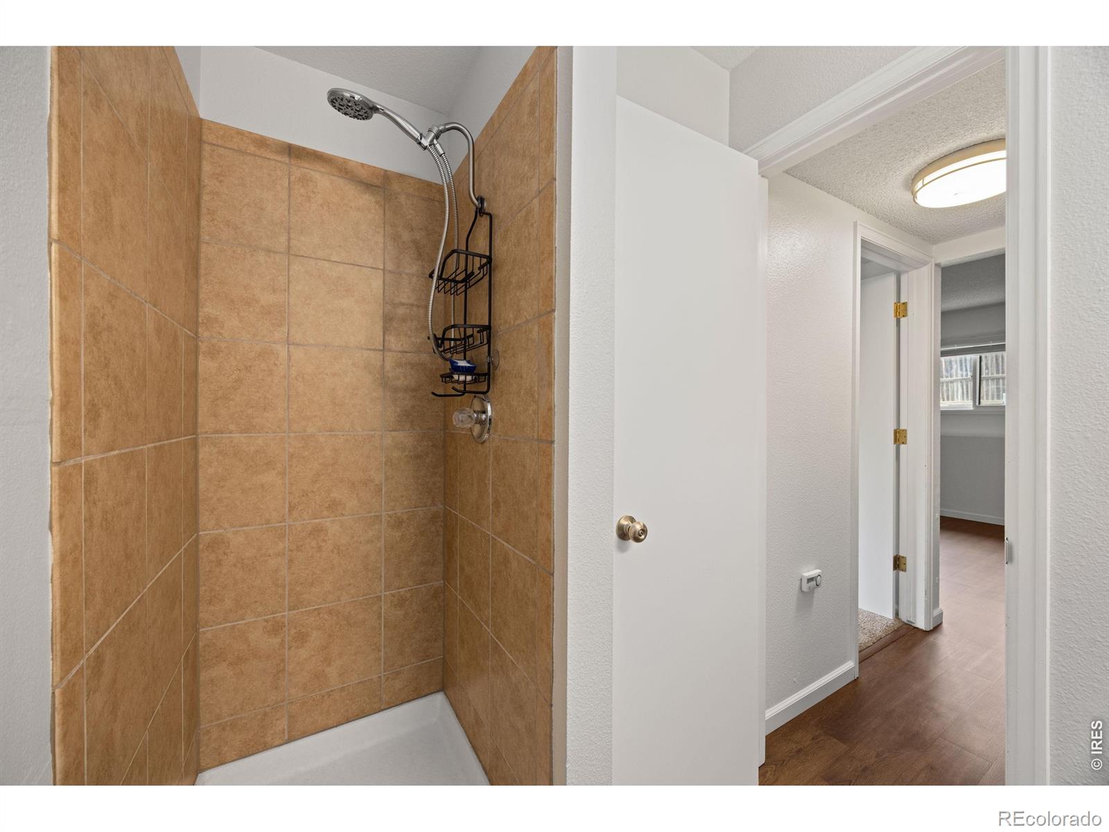 MLS Image #16 for 2025  cheyenne avenue,loveland, Colorado