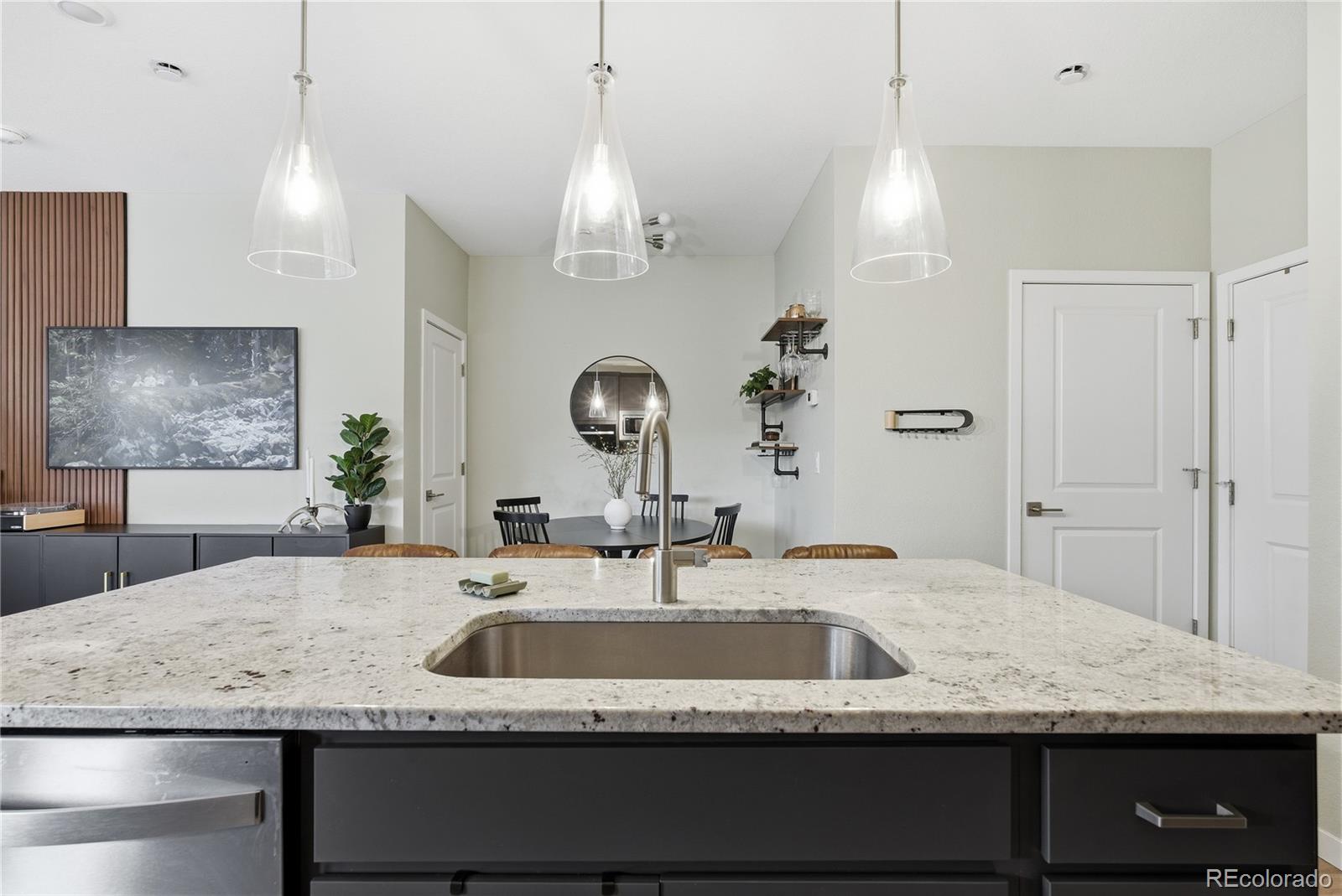MLS Image #16 for 9670  browns peak circle,littleton, Colorado