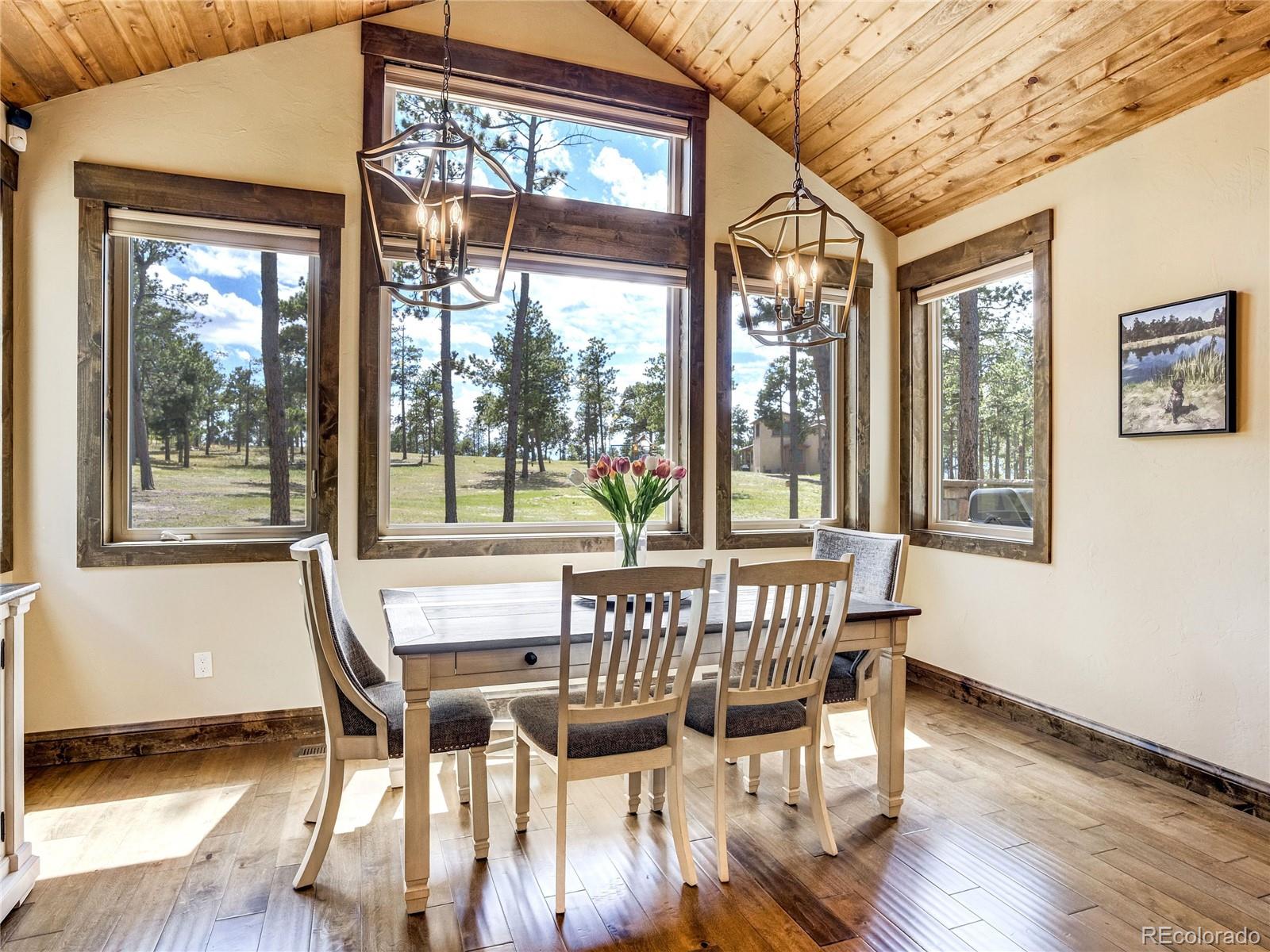 MLS Image #18 for 4735  saxton hollow road,colorado springs, Colorado