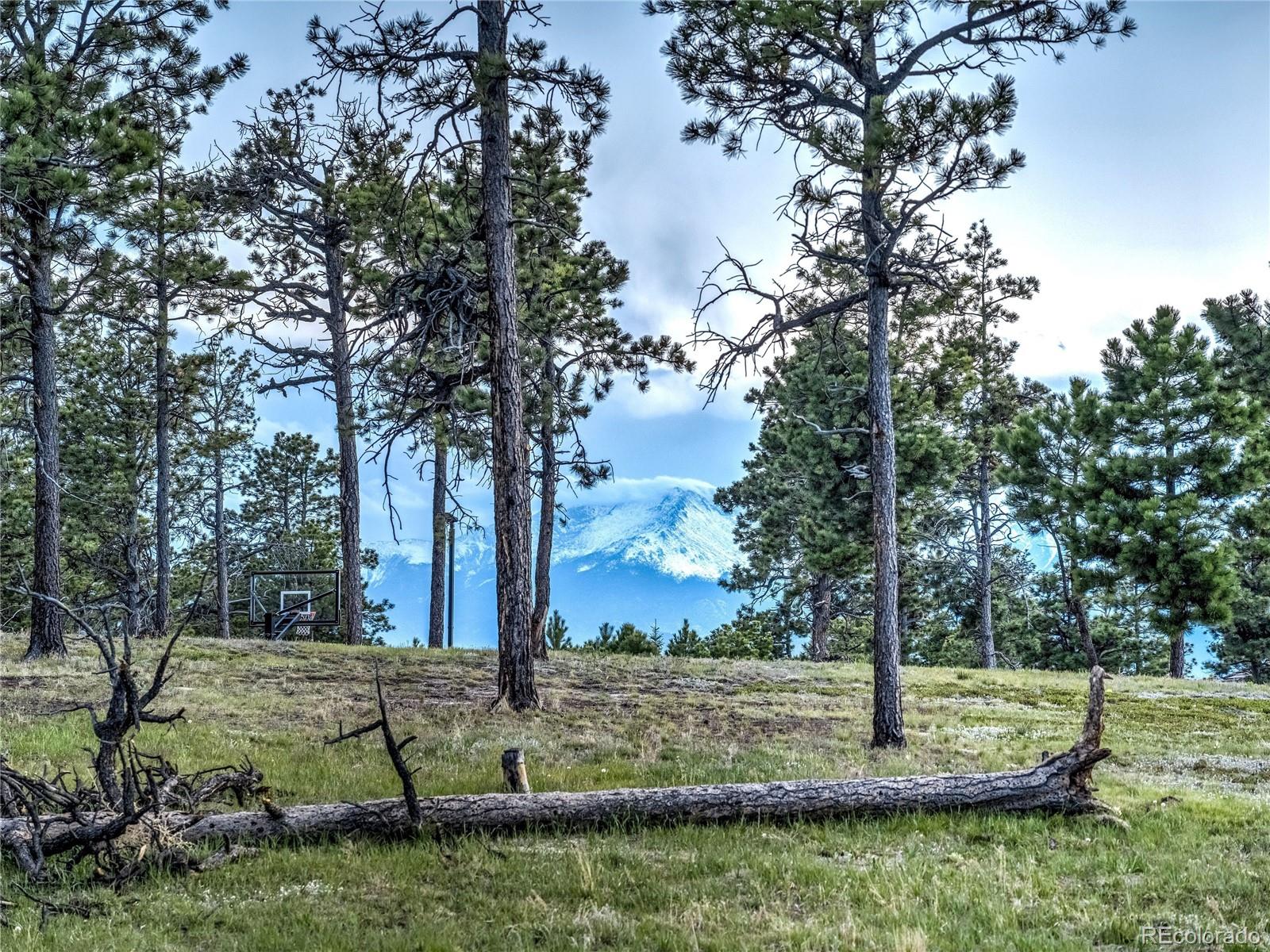 MLS Image #36 for 4735  saxton hollow road,colorado springs, Colorado