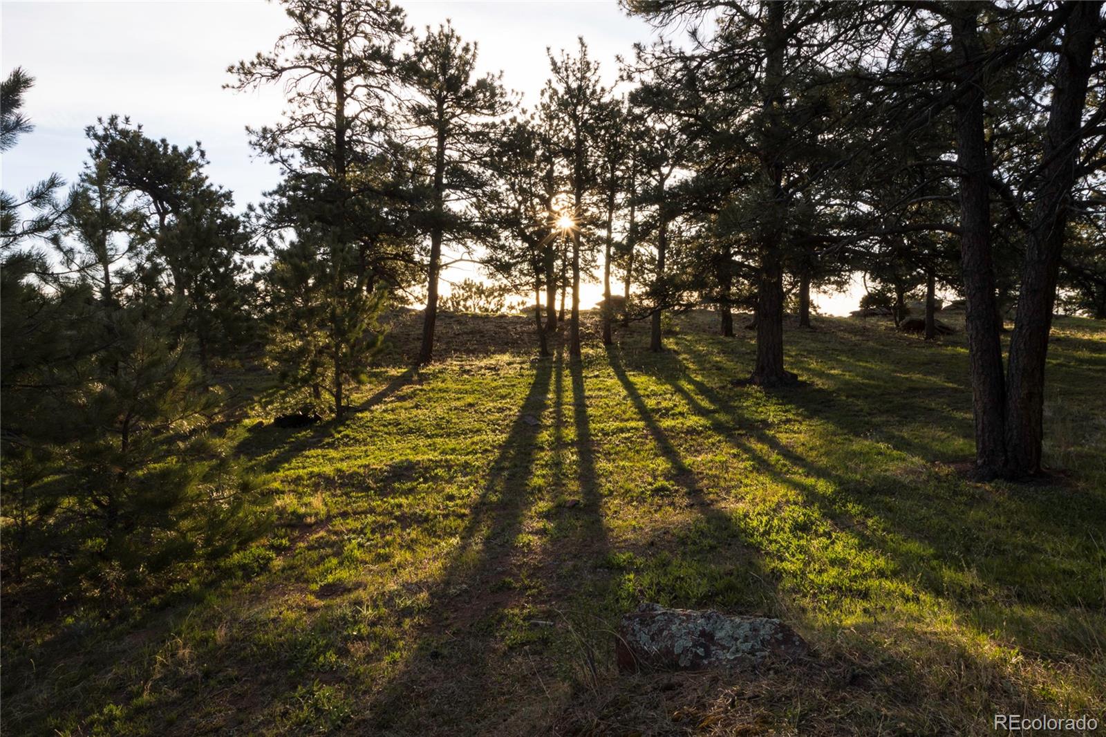 MLS Image #14 for 64  canyon pines drive,golden, Colorado