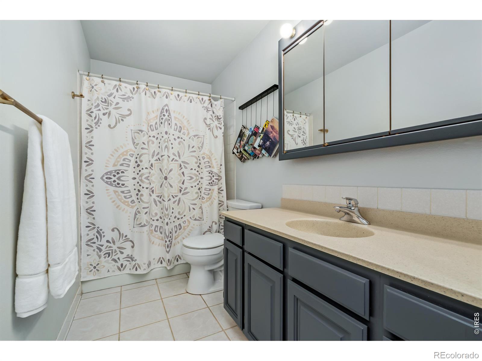 MLS Image #9 for 2818  edinburgh court,fort collins, Colorado