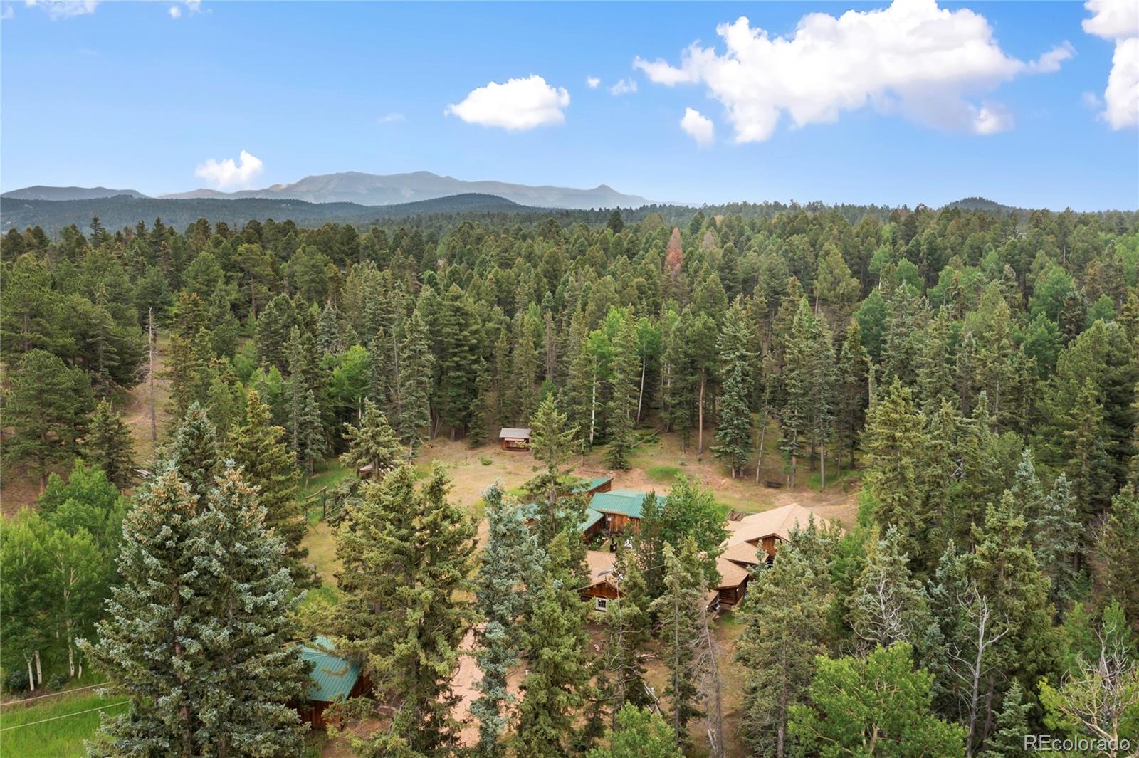 MLS Image #11 for 135  daniwood grove,florissant, Colorado