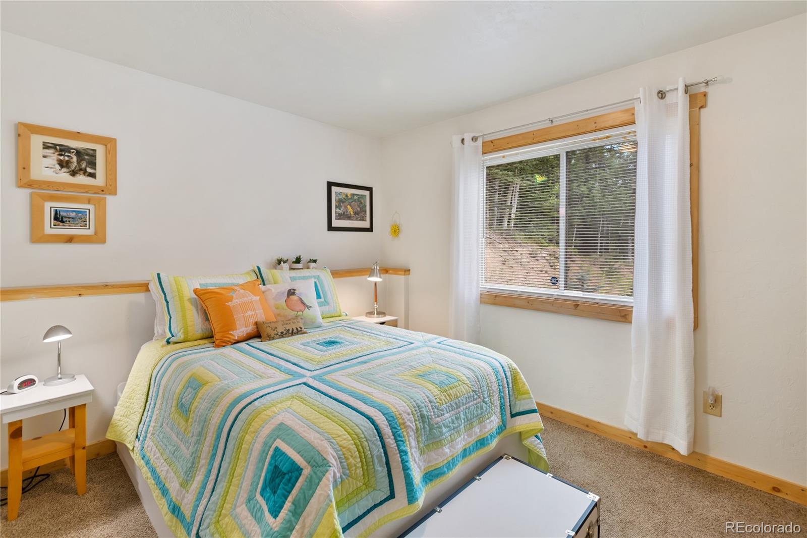 MLS Image #28 for 135  daniwood grove,florissant, Colorado