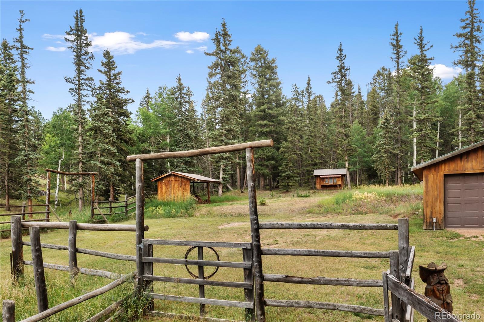 MLS Image #4 for 135  daniwood grove,florissant, Colorado