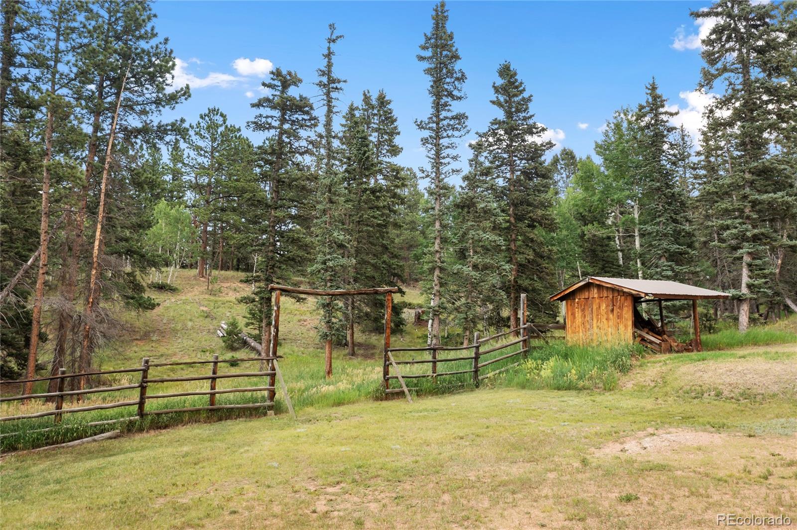 MLS Image #9 for 135  daniwood grove,florissant, Colorado