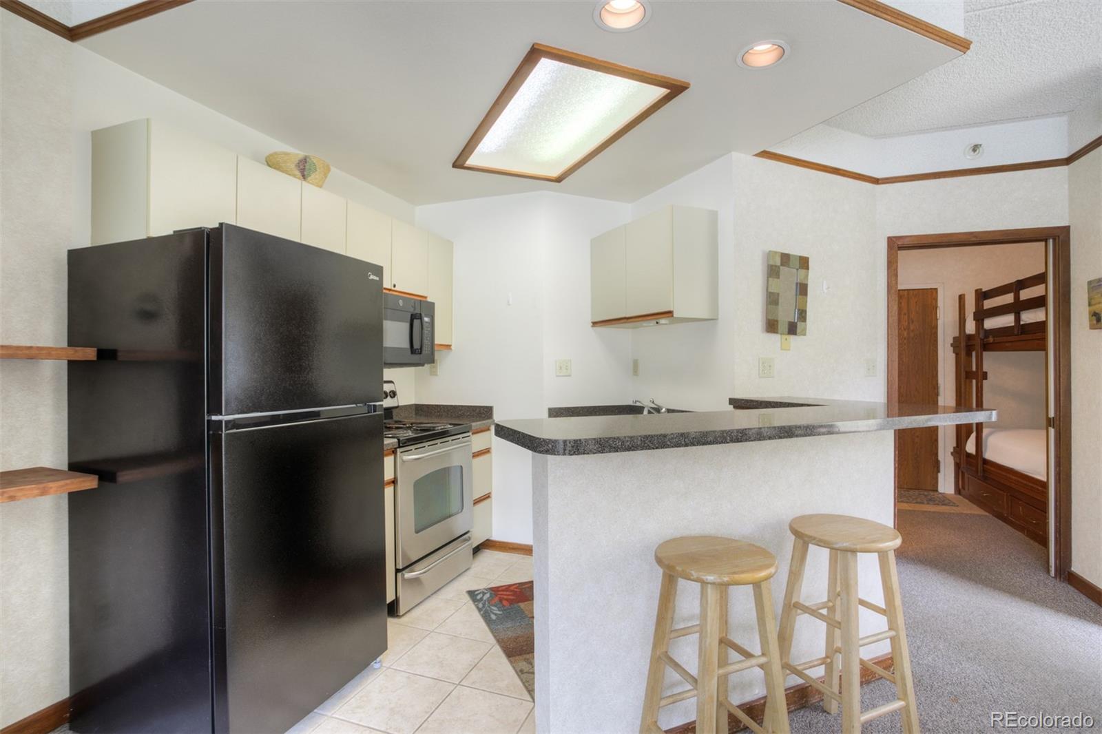 MLS Image #10 for 45  beeler place,frisco, Colorado