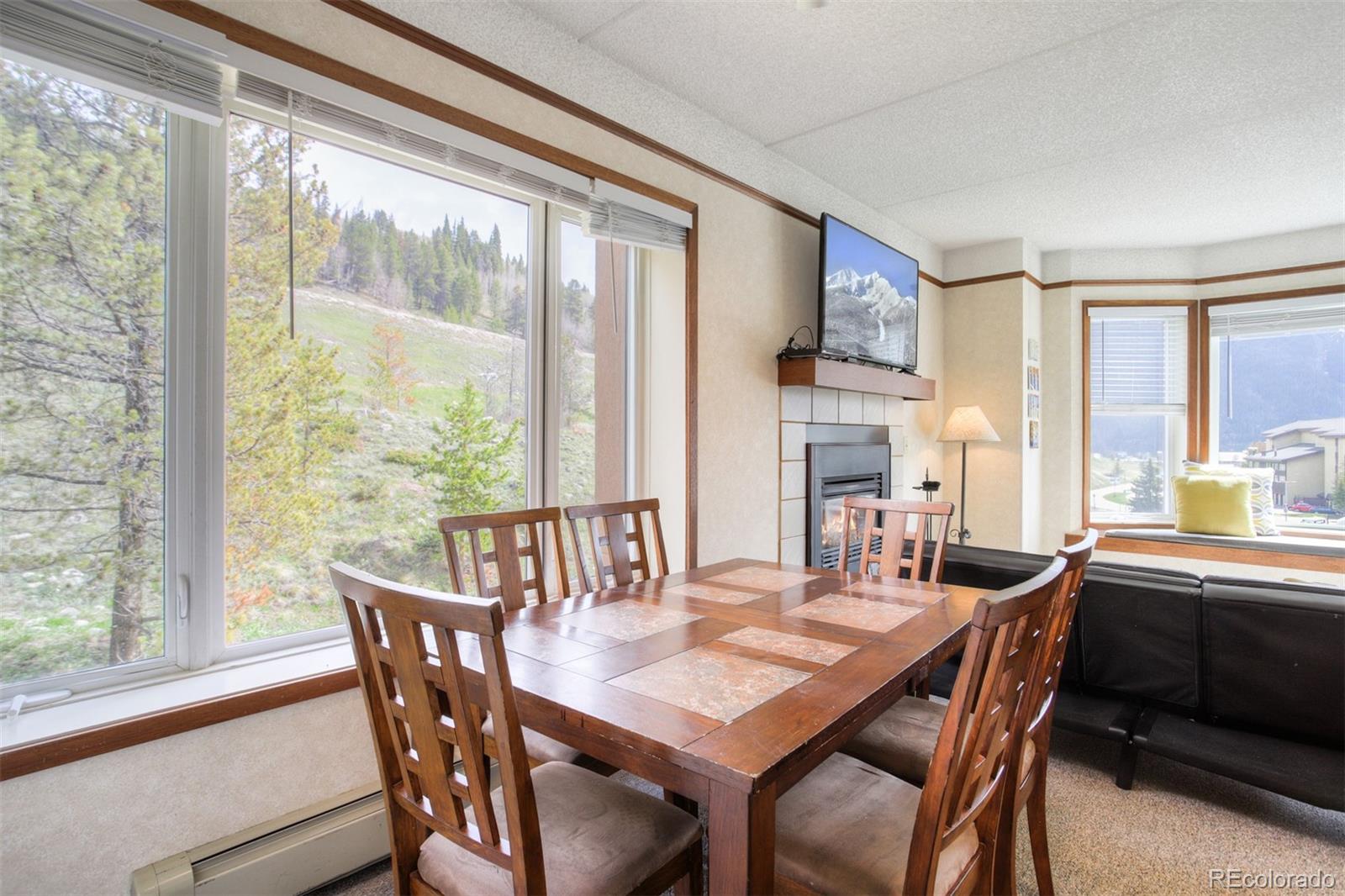 MLS Image #14 for 45  beeler place,frisco, Colorado
