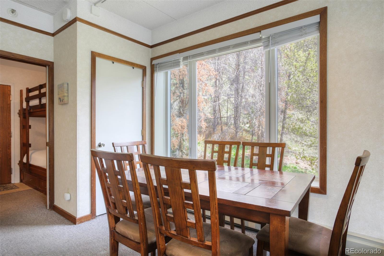 MLS Image #15 for 45  beeler place,frisco, Colorado