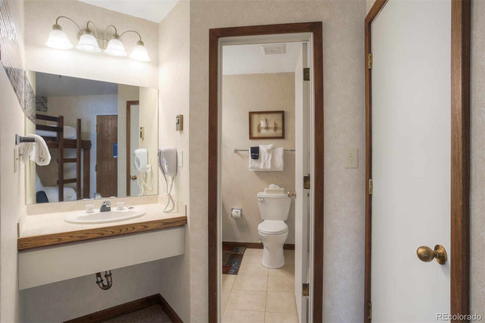 MLS Image #18 for 45  beeler place,frisco, Colorado