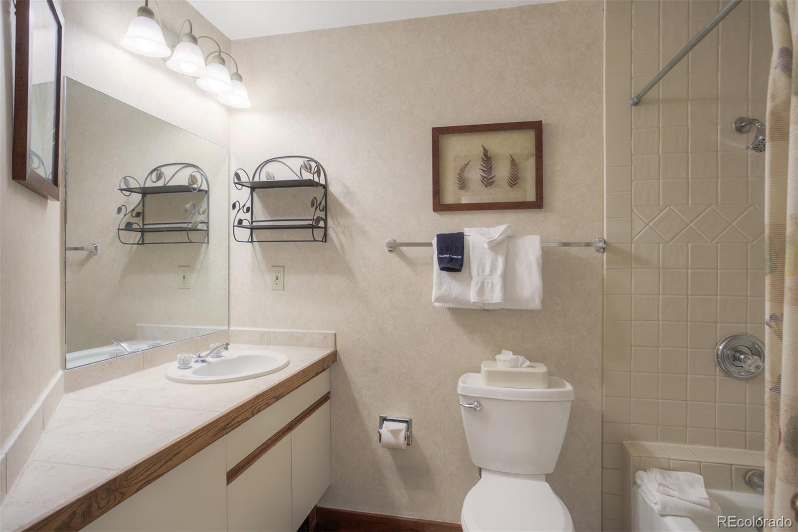 MLS Image #19 for 45  beeler place,frisco, Colorado
