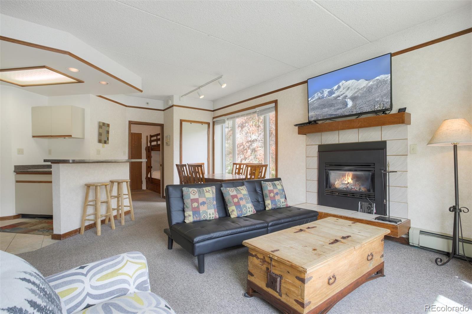 MLS Image #2 for 45  beeler place,frisco, Colorado