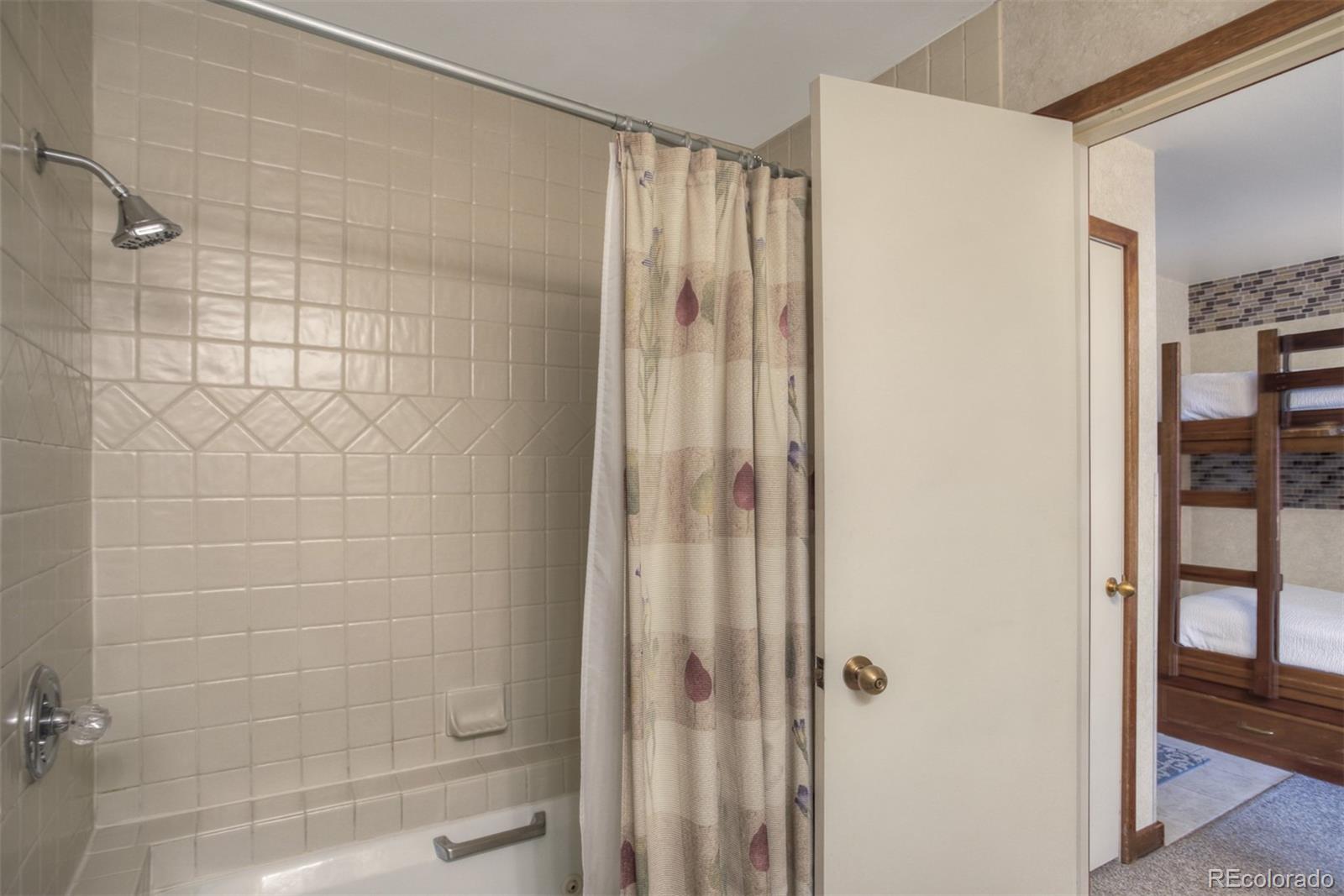 MLS Image #20 for 45  beeler place,frisco, Colorado
