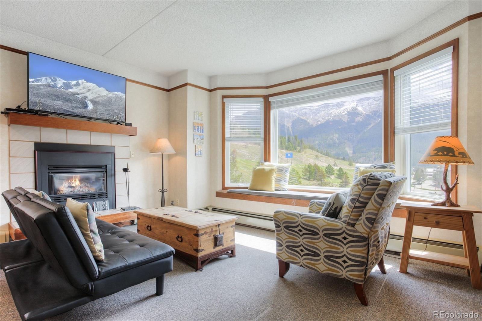 MLS Image #3 for 45  beeler place,frisco, Colorado