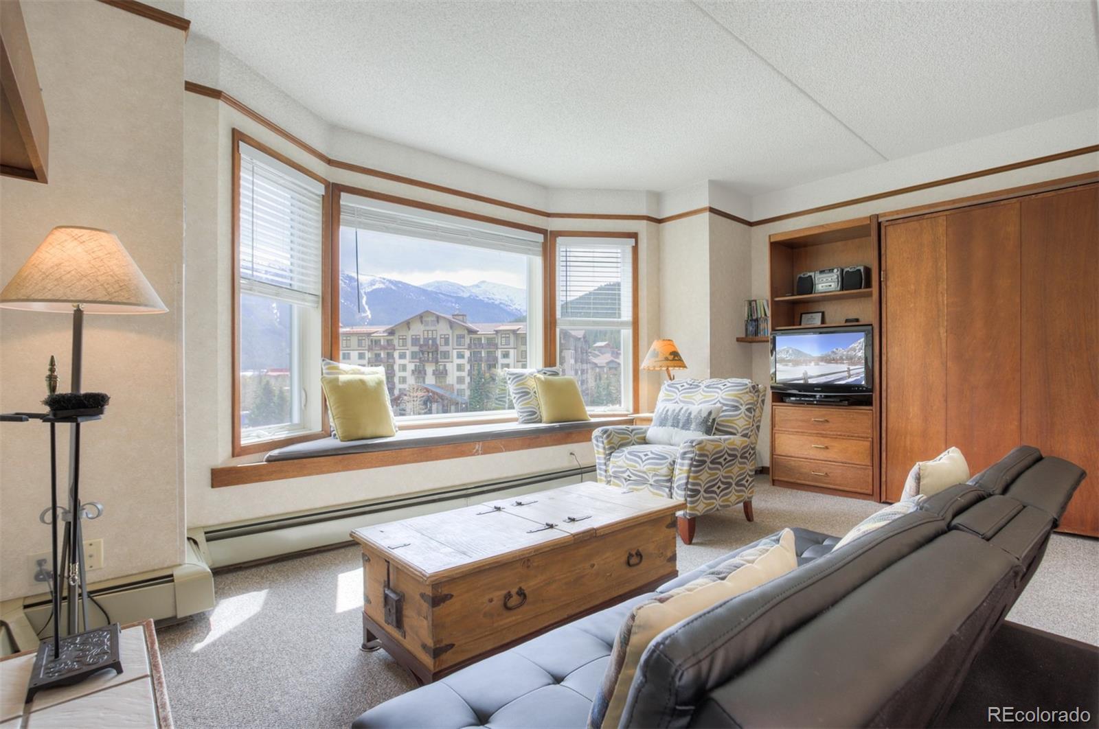 MLS Image #4 for 45  beeler place,frisco, Colorado