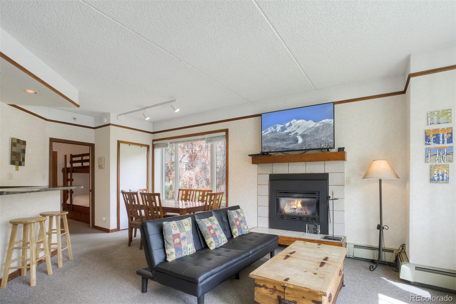 MLS Image #5 for 45  beeler place,frisco, Colorado