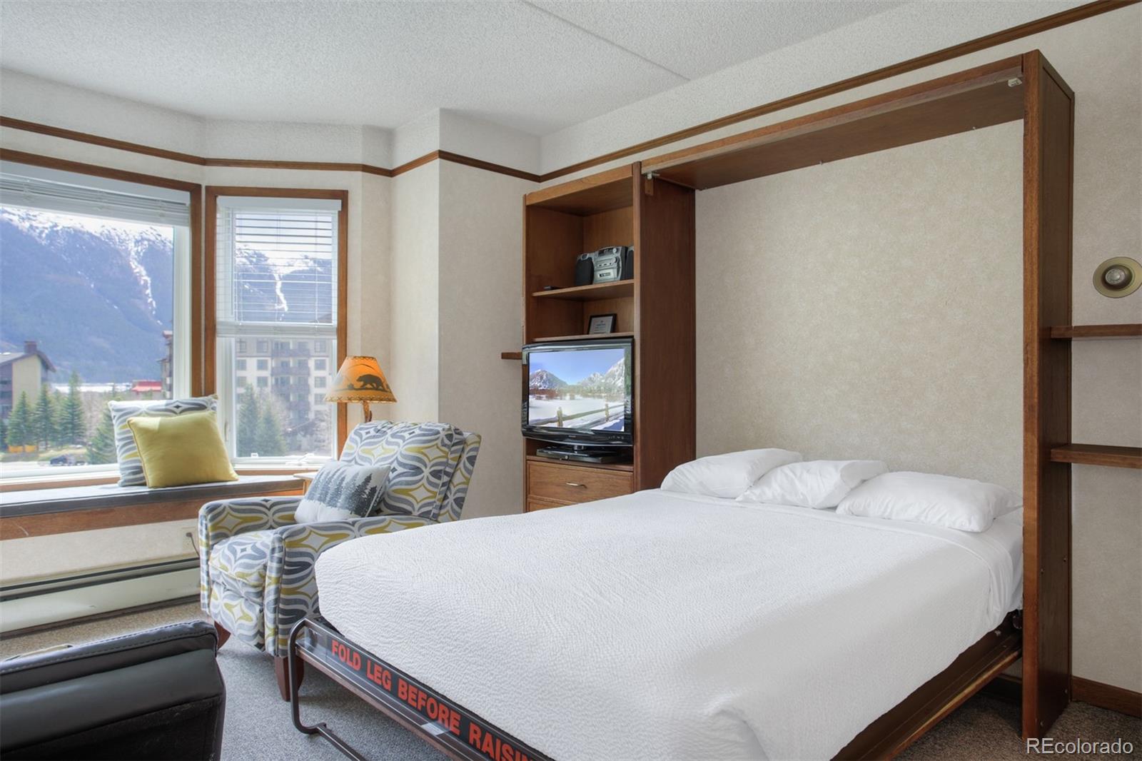 MLS Image #8 for 45  beeler place,frisco, Colorado