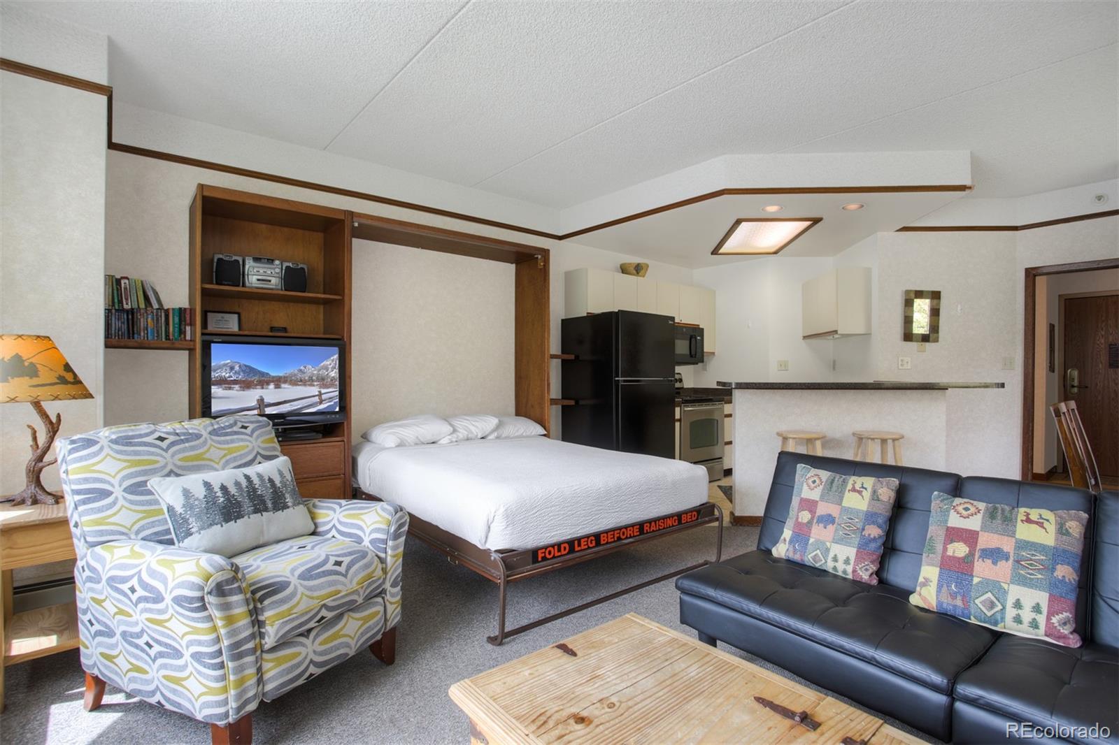 MLS Image #9 for 45  beeler place,frisco, Colorado