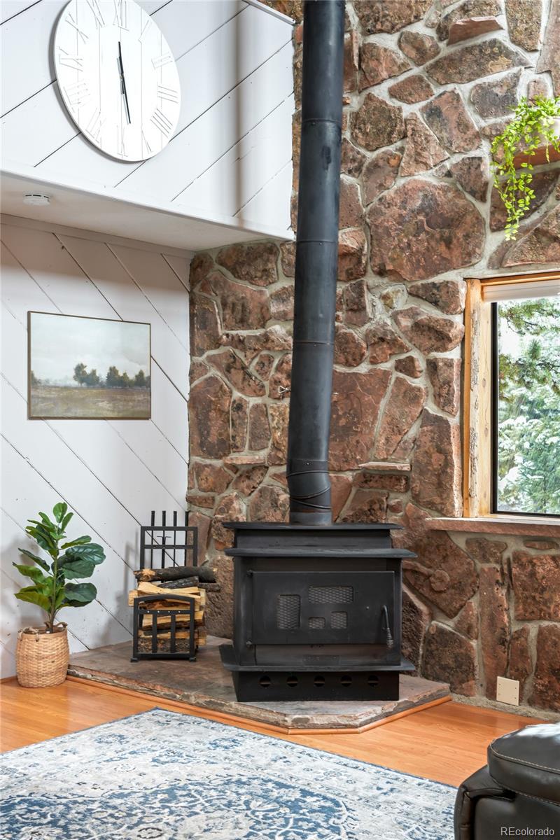 MLS Image #9 for 631  county road 462 ,grand lake, Colorado