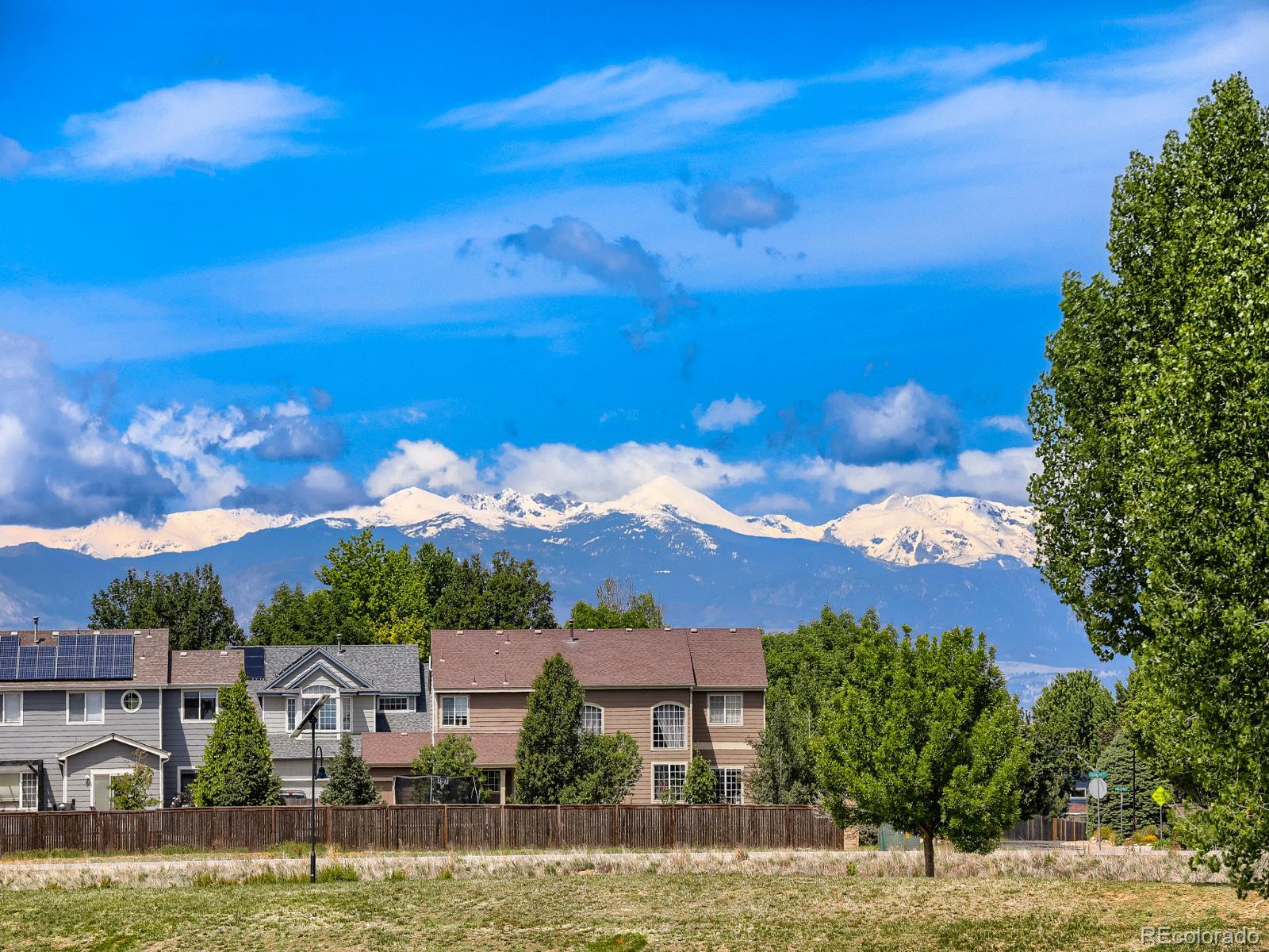 MLS Image #2 for 6173  shenandoah avenue,longmont, Colorado