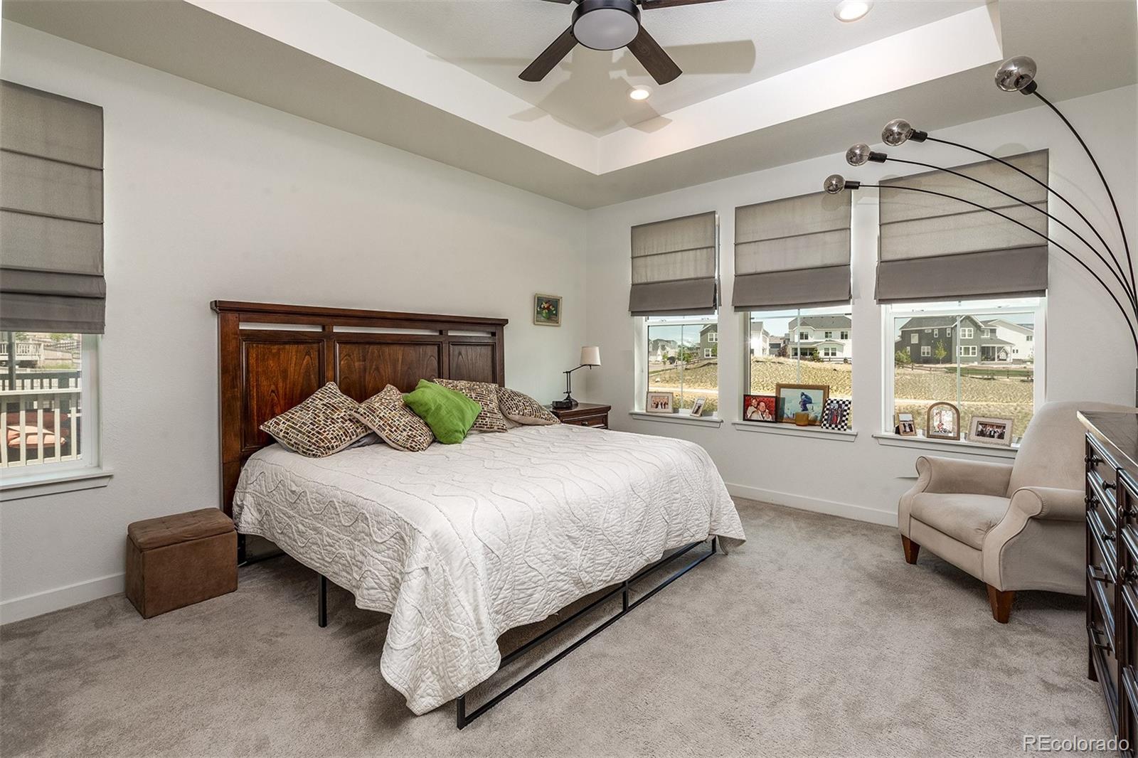 MLS Image #18 for 13470  gandy dancer way,parker, Colorado