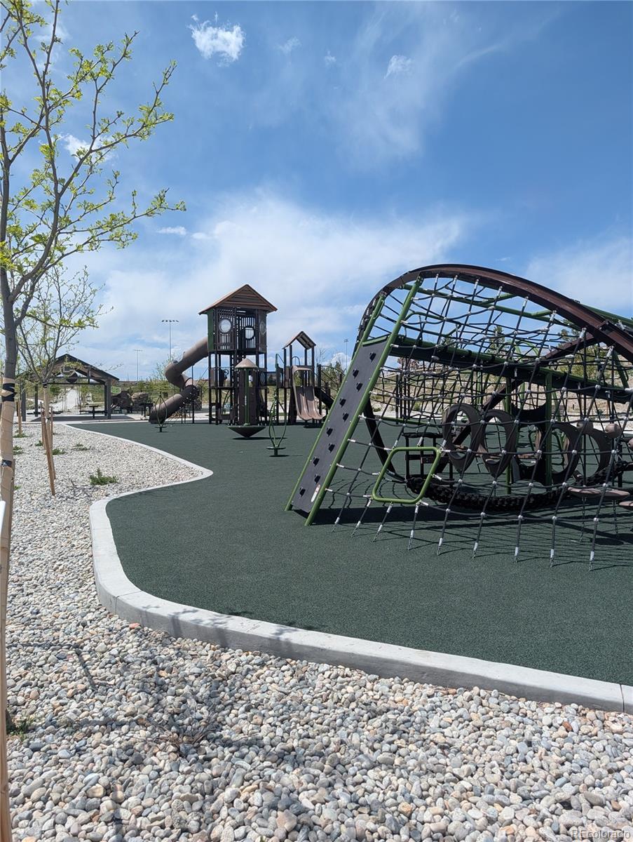 MLS Image #40 for 13470  gandy dancer way,parker, Colorado