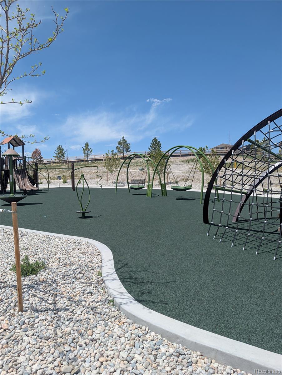 MLS Image #41 for 13470  gandy dancer way,parker, Colorado