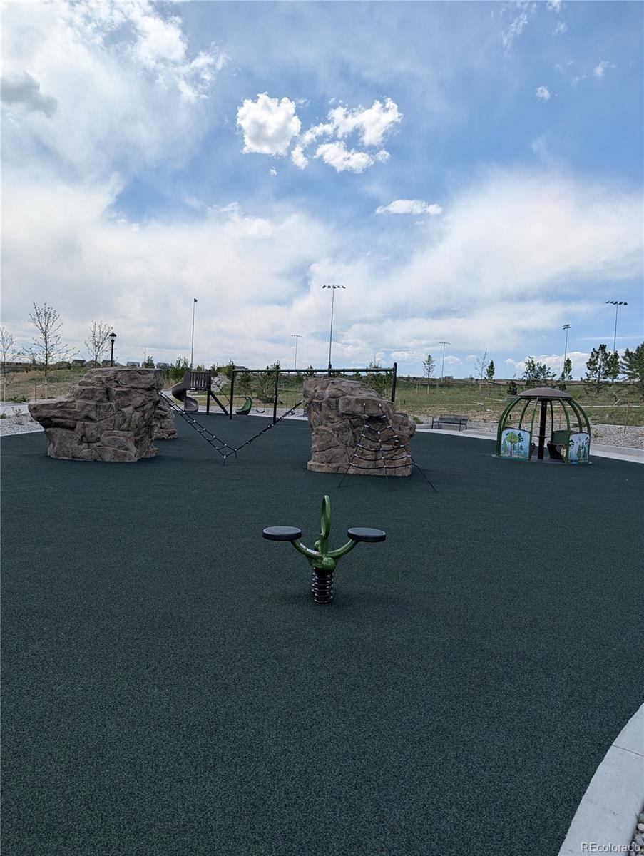 MLS Image #45 for 13470  gandy dancer way,parker, Colorado